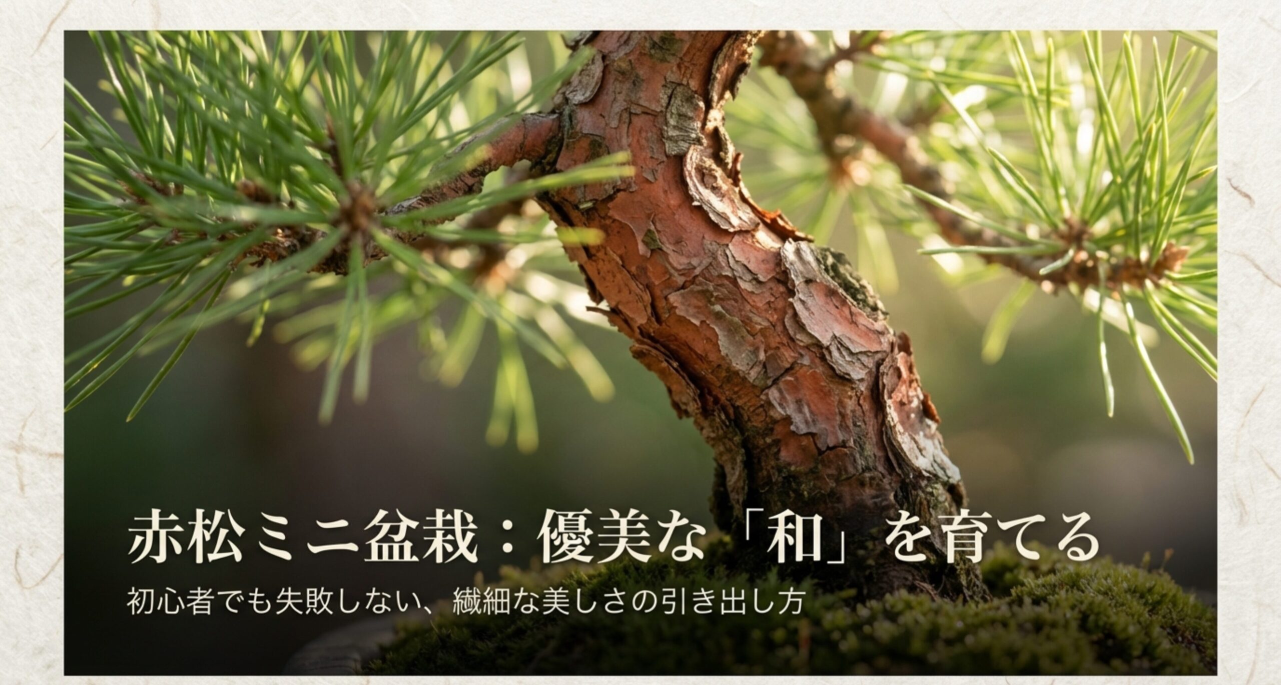 赤松ミニ盆栽：優美な「和」を育てる。初心者でも失敗しない、繊細な美しさの引き出し方