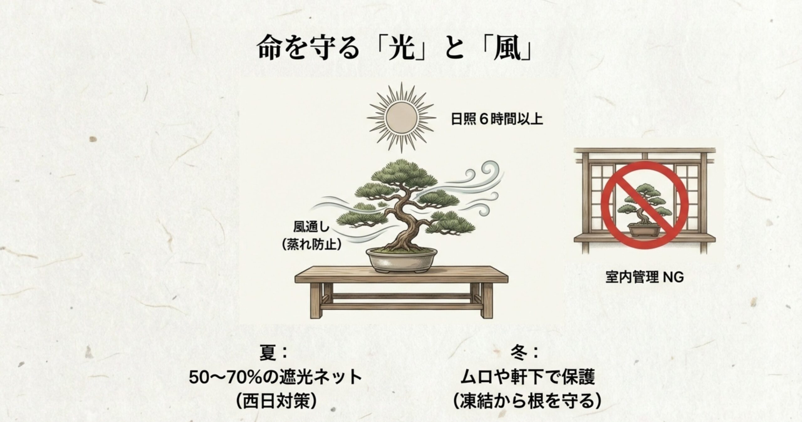 室内管理NG。日照6時間以上、夏は遮光、冬は保護など、赤松の命を守る光と風通し(蒸れ防止)の環境作り