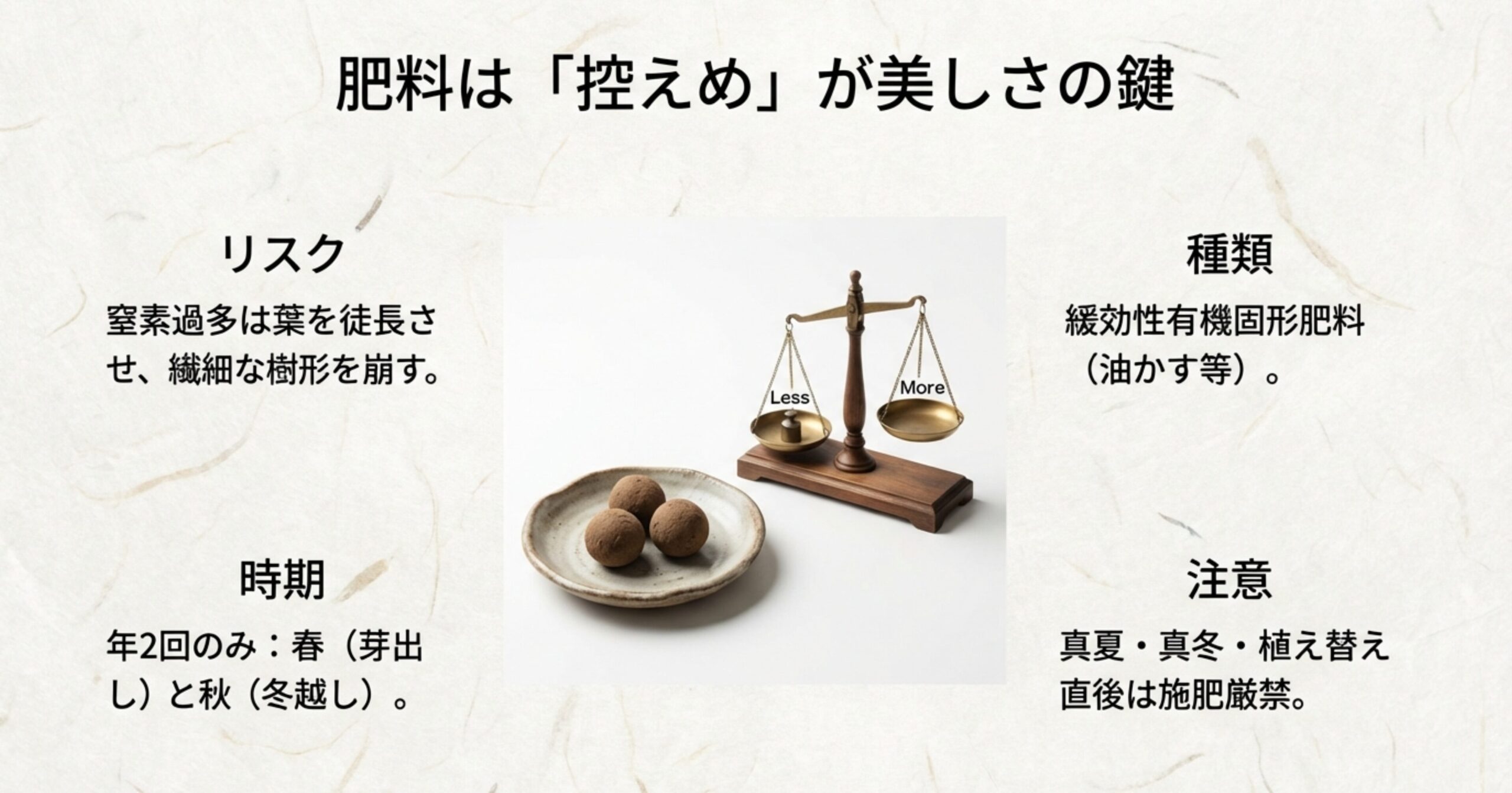 葉の徒長を防ぐため肥料は控えめに。春と秋の年2回、緩効性有機固形肥料を与えるポイント