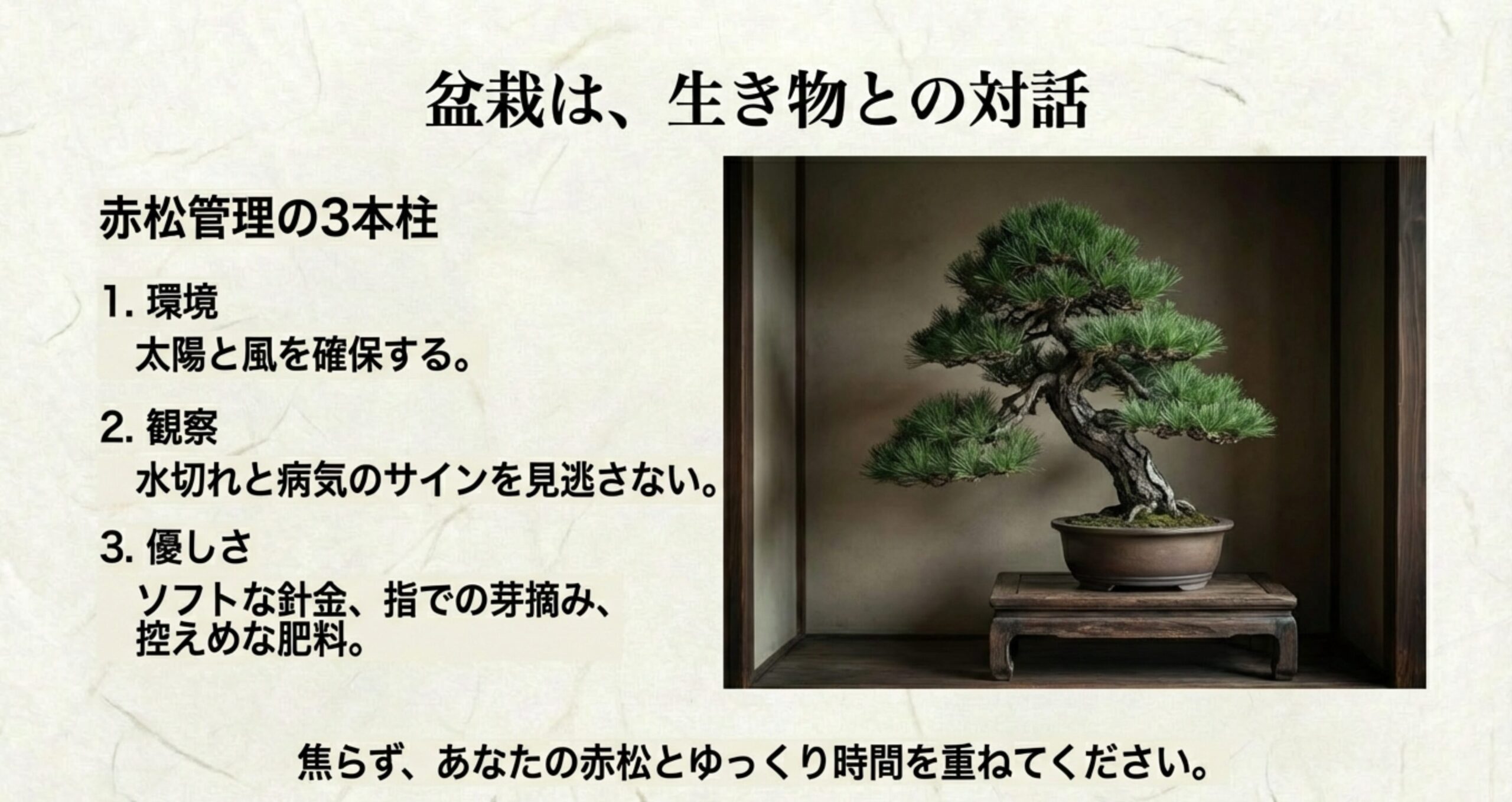盆栽は生き物との対話。赤松管理の3本柱である「環境(太陽と風)」「観察(水切れ・病気)」「優しさ(手入れ)」のまとめ