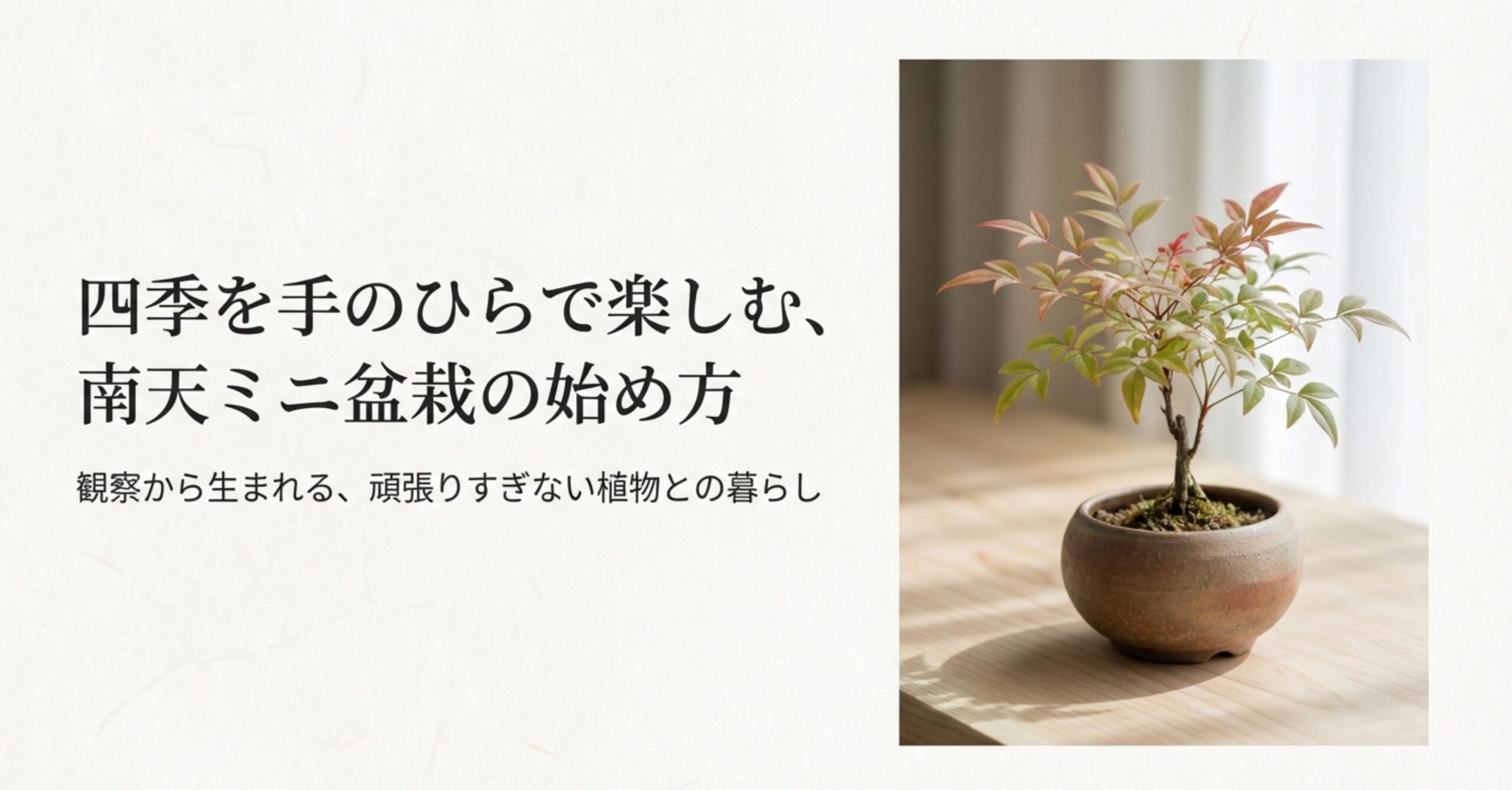 柔らかな光が差し込む木目のテーブルに置かれた、美しい南天のミニ盆栽。