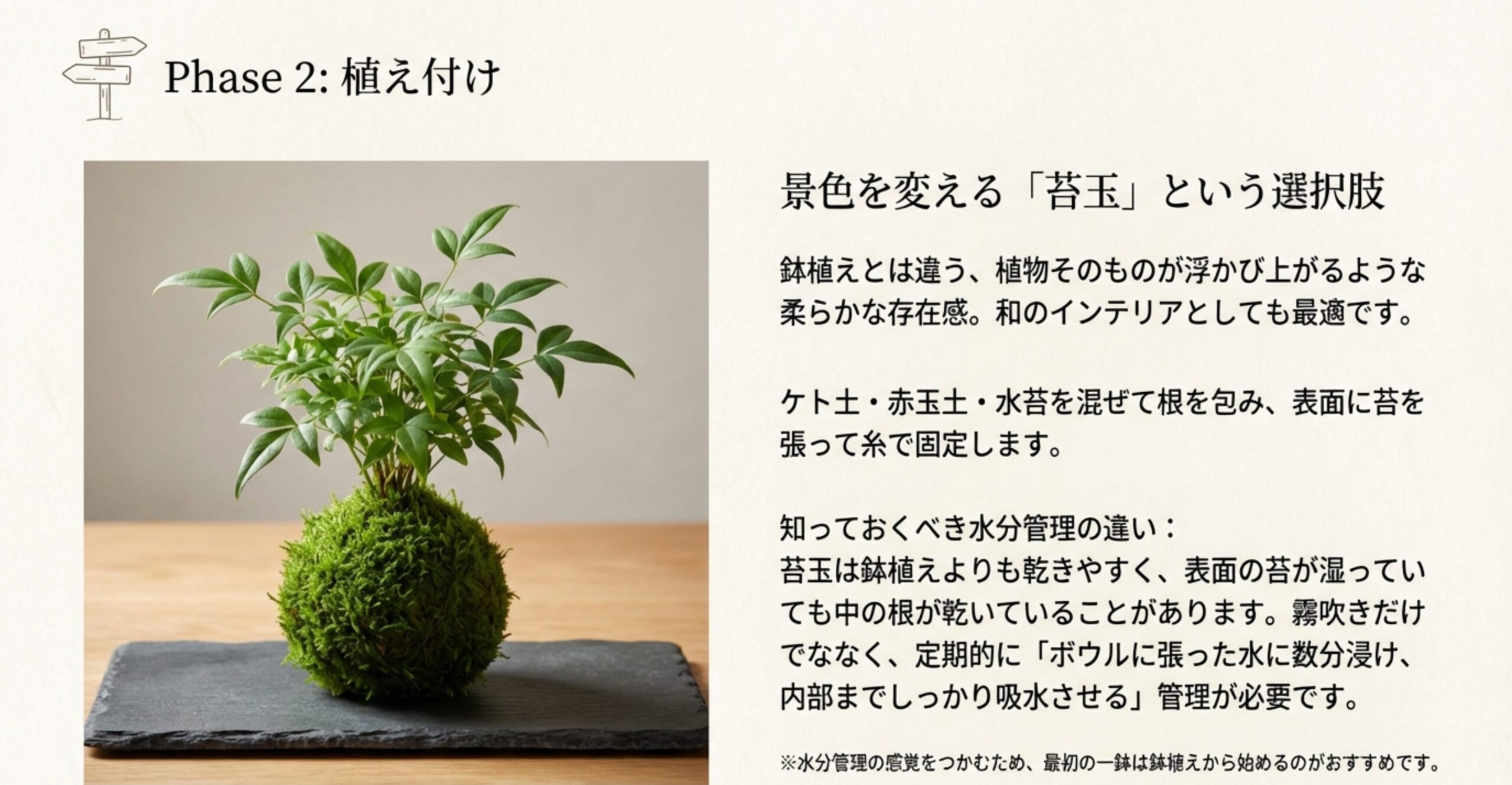 南天の苔玉の写真と、ボウルに張った水に数分浸ける「ドブ浸け」による吸水方法の解説。