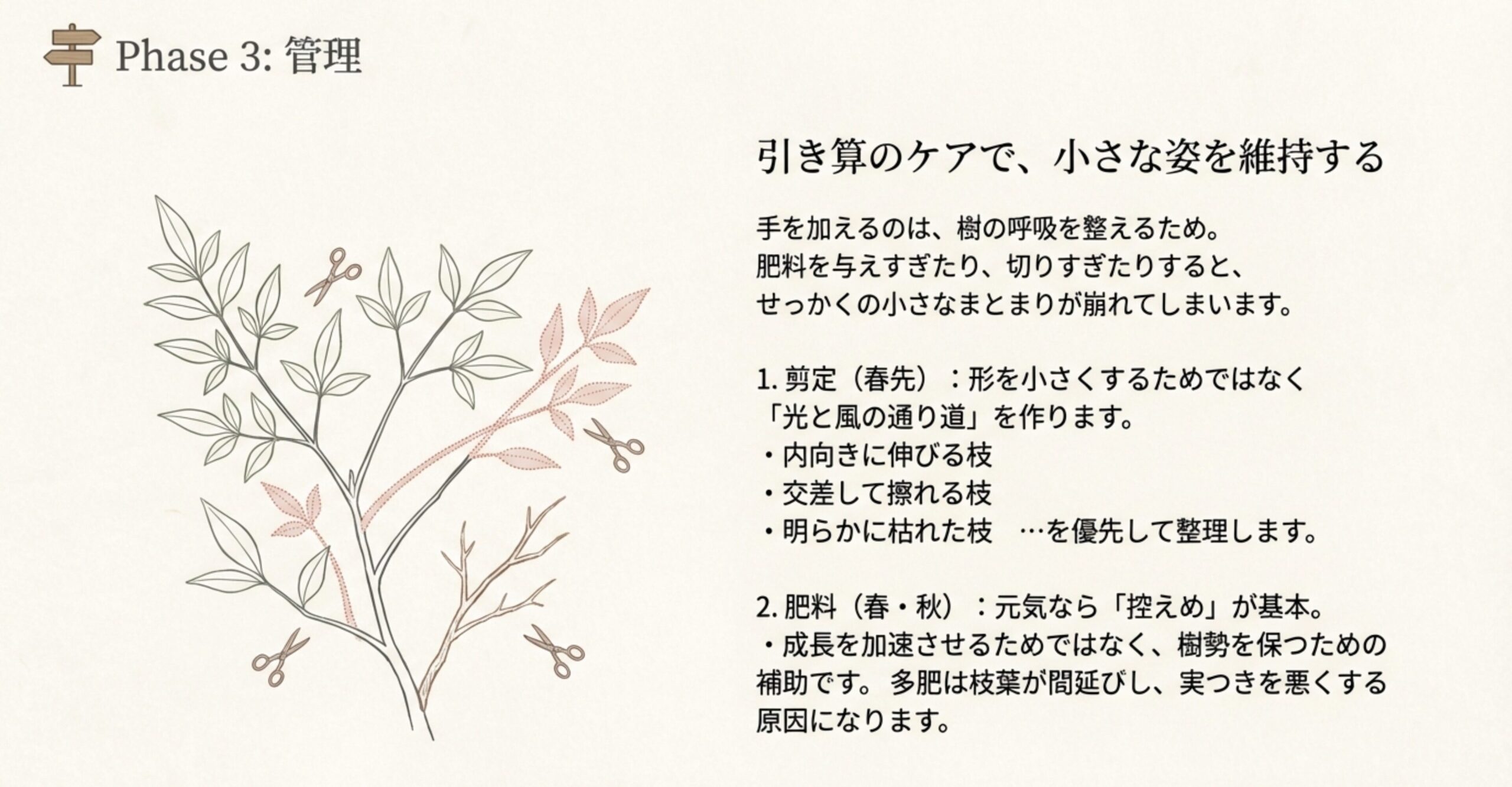 内向きの枝、交差した枝、枯れた枝など、剪定の優先順位を赤線で示したイラスト。