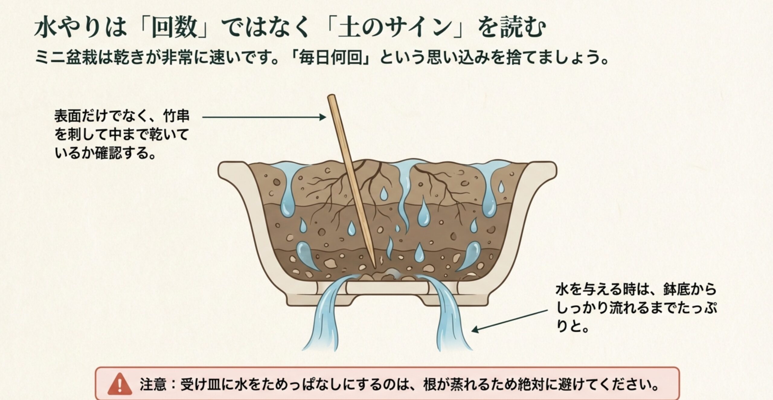 竹串を刺して中の乾きを確認し、鉢底から流れるまでたっぷりと水を与える手順のイラスト