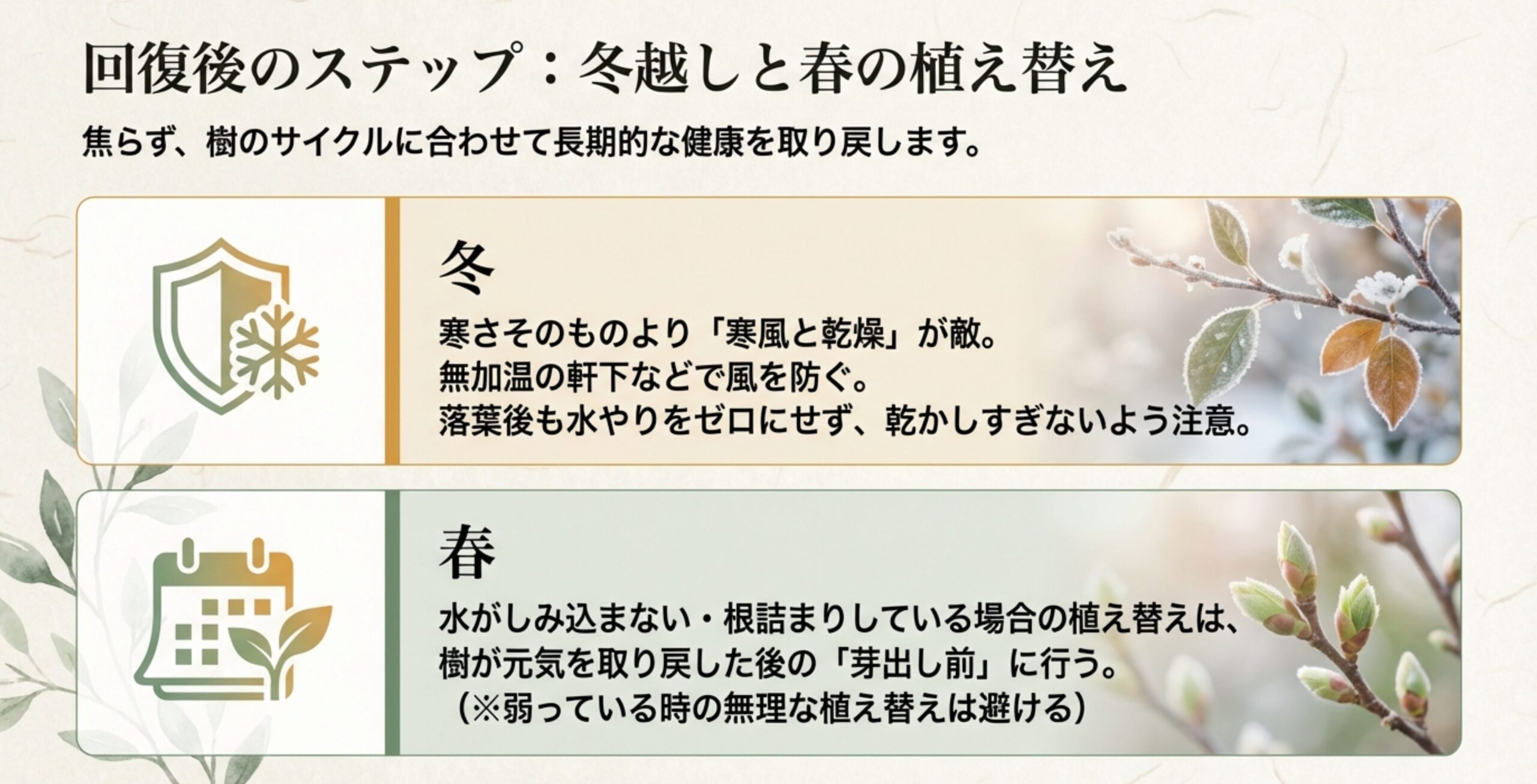 冬は寒風と乾燥を防ぎ、春は芽出し前に植え替えを検討するという、季節ごとの長期的な管理のポイント