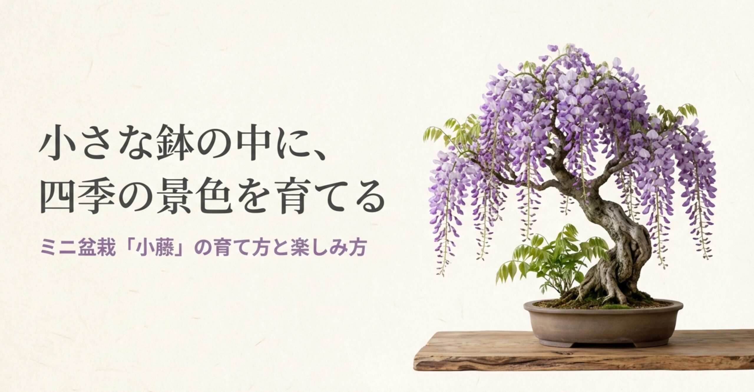 小さな鉢の中に、四季の景色を育てる ミニ盆栽「小藤」の育て方と楽しみ方 。