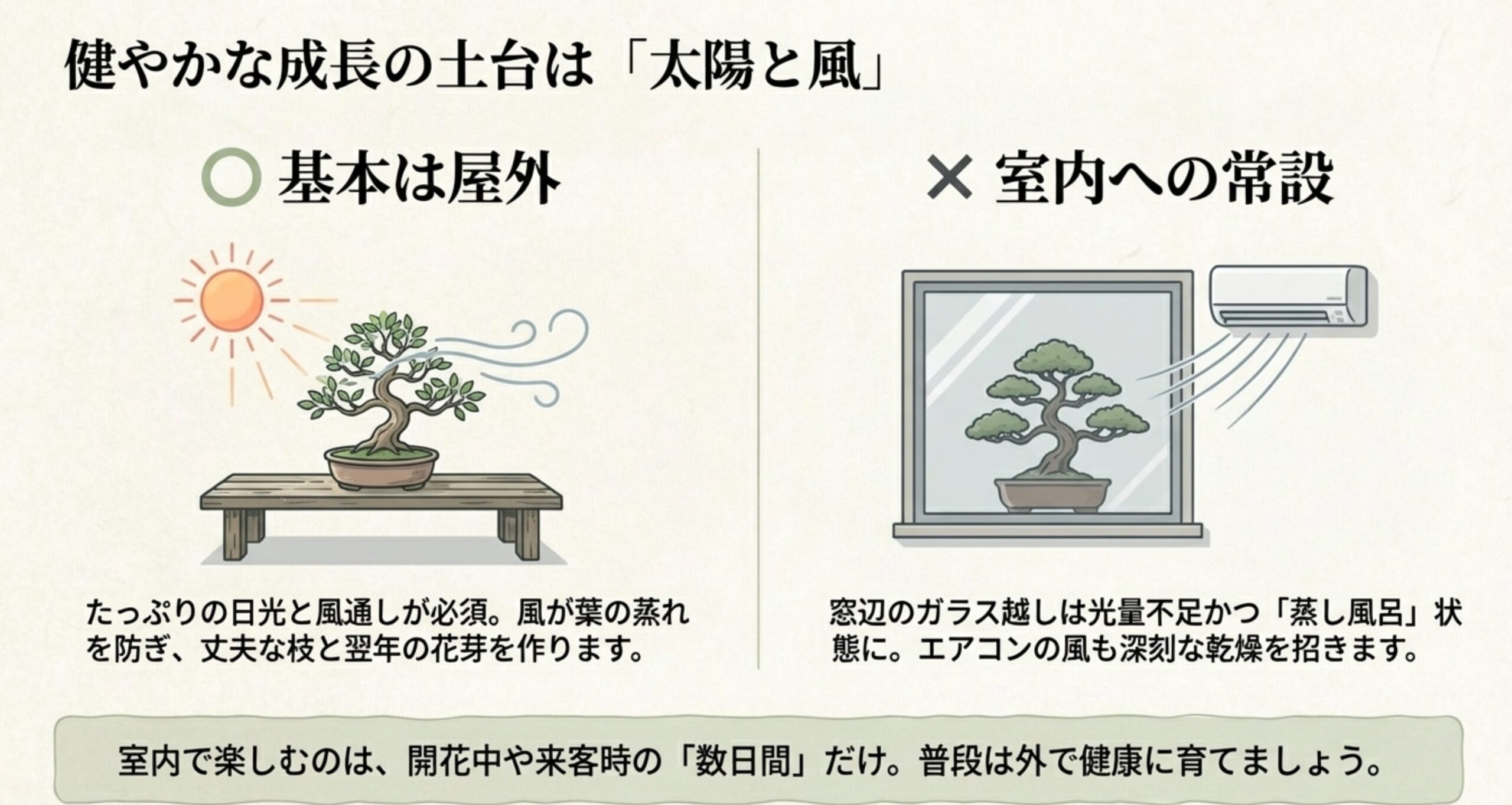 健やかな成長の土台は「太陽と風」であり、基本は屋外で管理する 。室内への常設は避け、たっぷりの日光と風通しを確保する 。