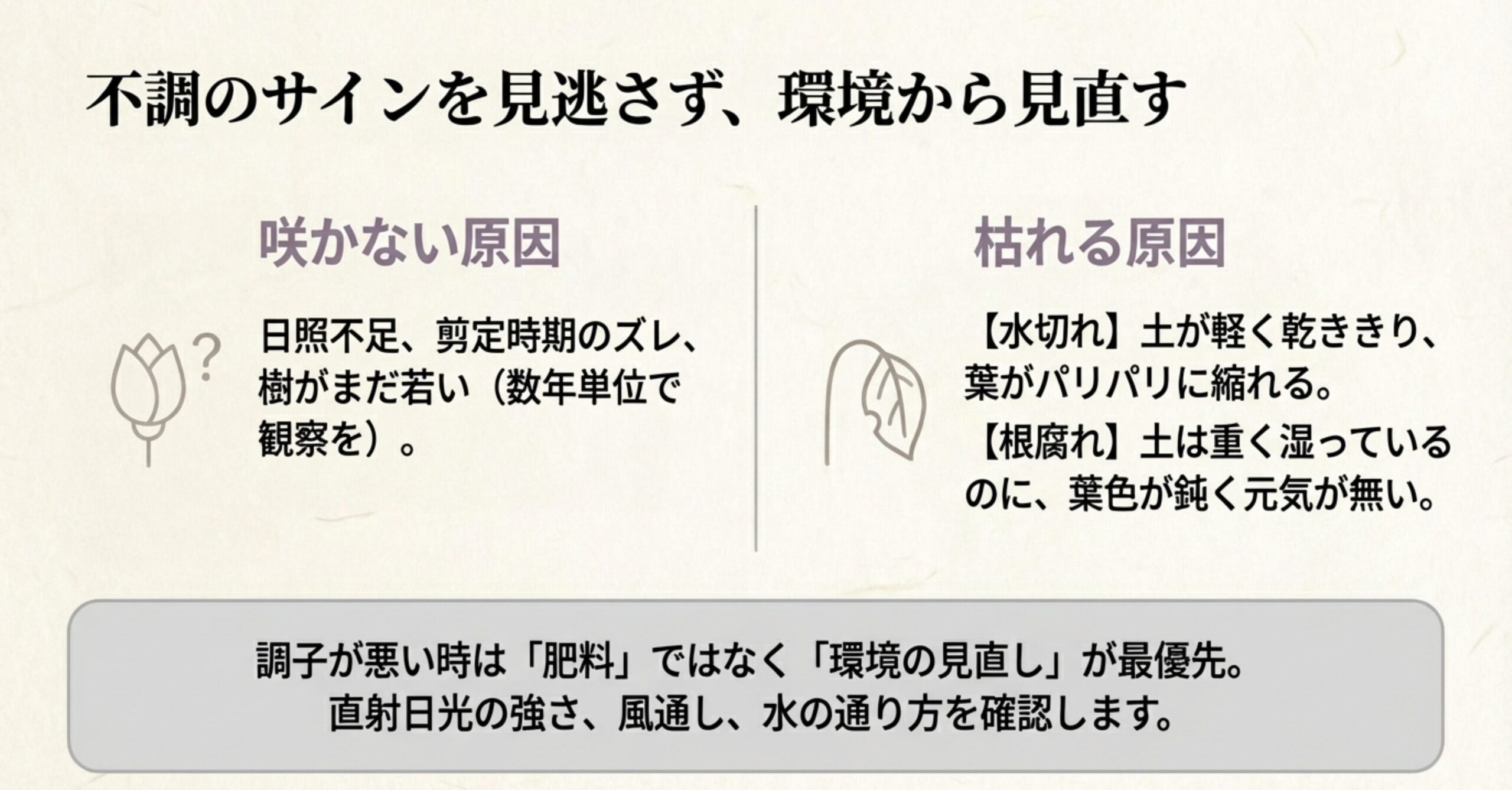 不調のサインを見逃さず、環境から見直す 。咲かない原因や、枯れる原因（水切れ、根腐れ）の確認ポイント 。