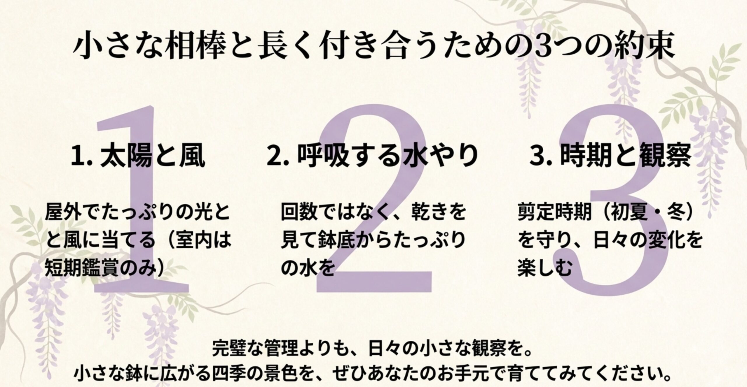 小さな相棒と長く付き合うための3つの約束 。1. 太陽と風、2. 呼吸する水やり、3. 時期と観察 。