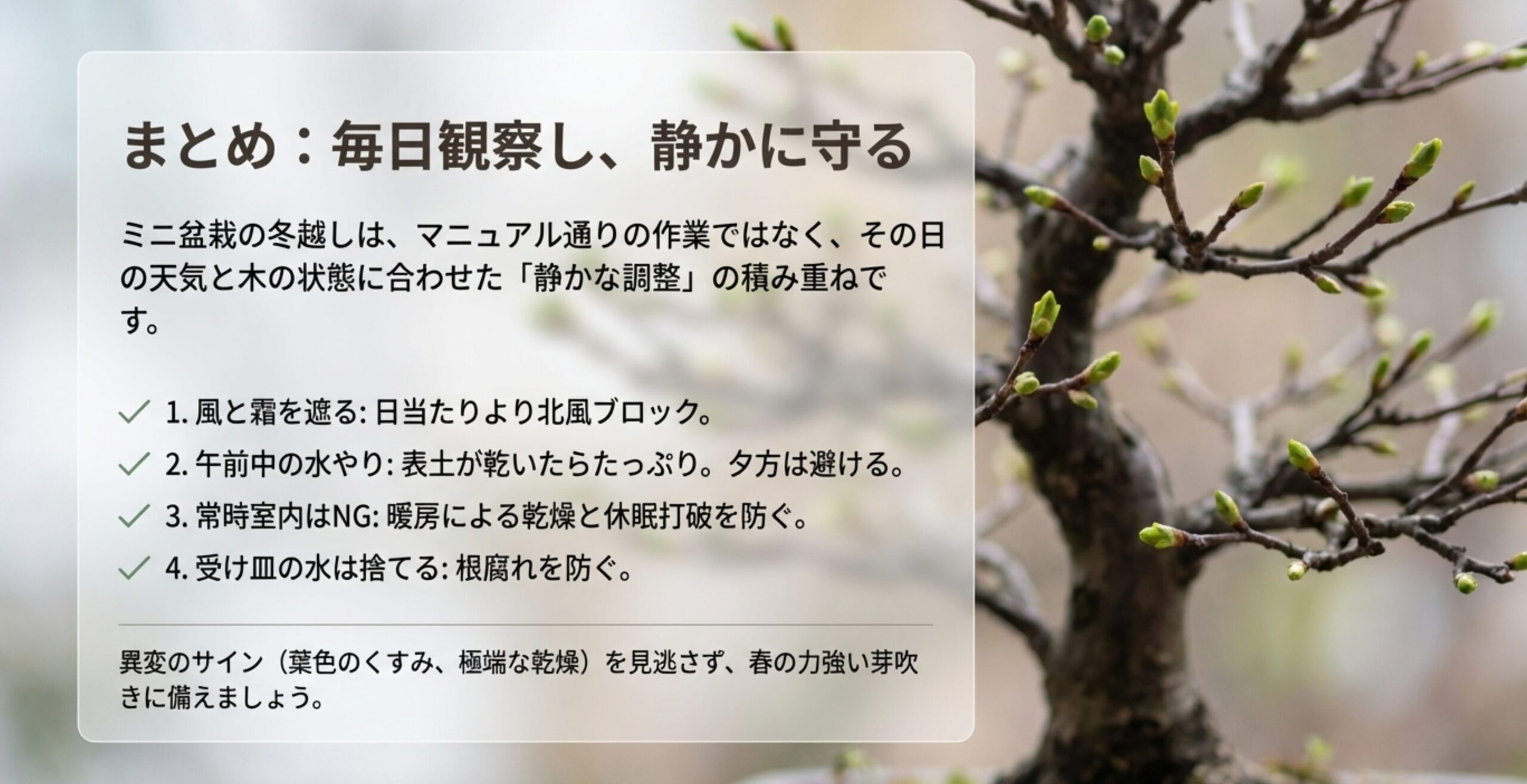 風のブロック、午前中の水やりなど、ミニ盆栽の冬越しに関する4つの鉄則まとめリスト