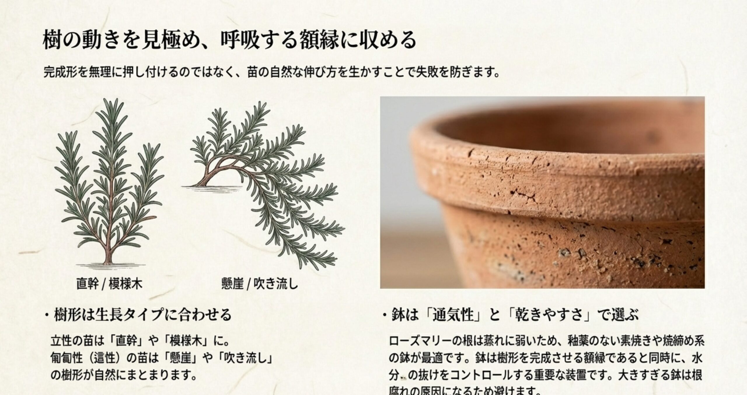 生長タイプに合わせた直幹や懸崖などの樹形と、通気性の良い鉢選びを解説したスライド 。