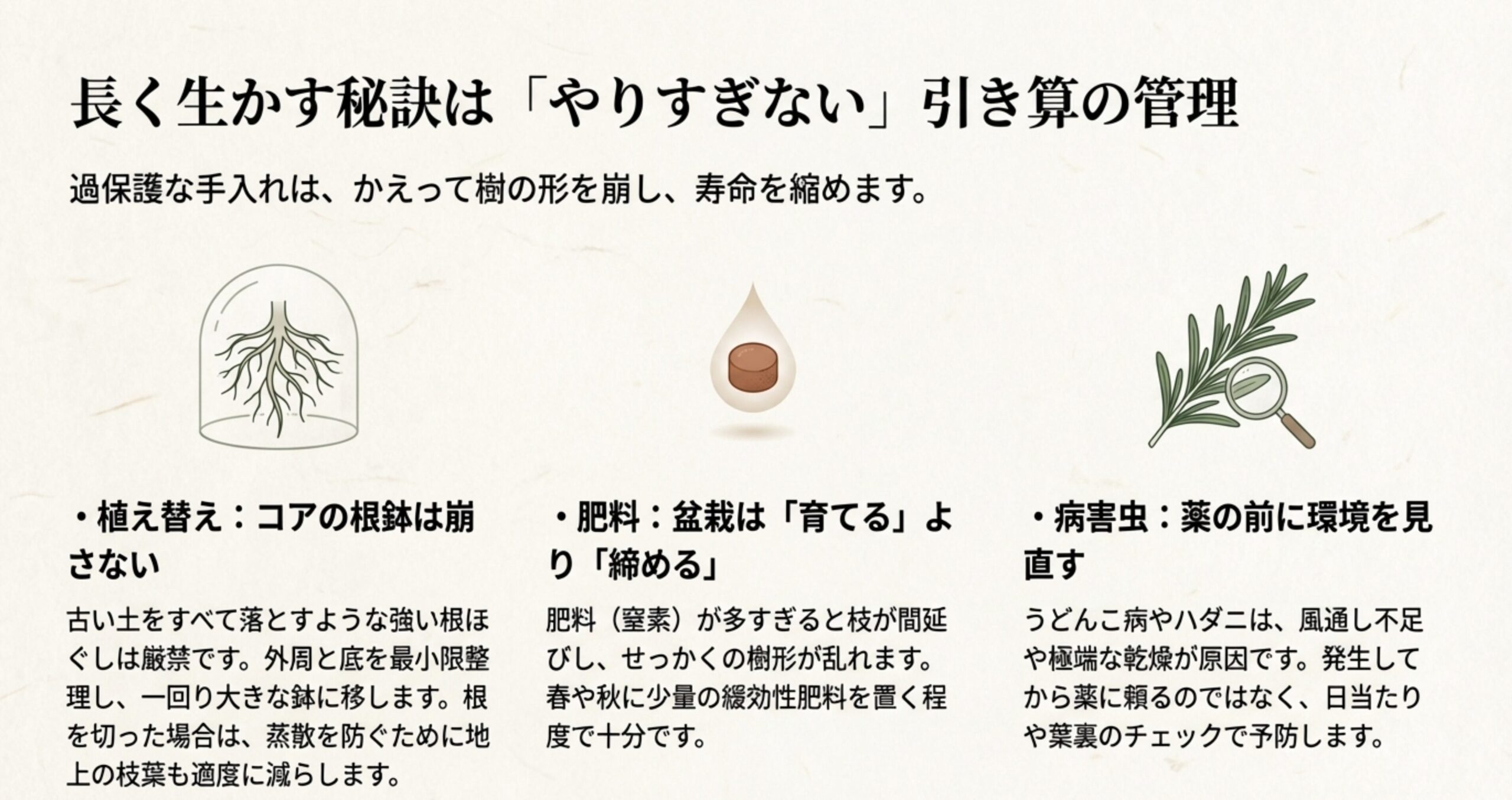 コアの根鉢を崩さない植え替え、控えめな肥料、薬の前に環境を見直す病害虫対策を解説したスライド 。