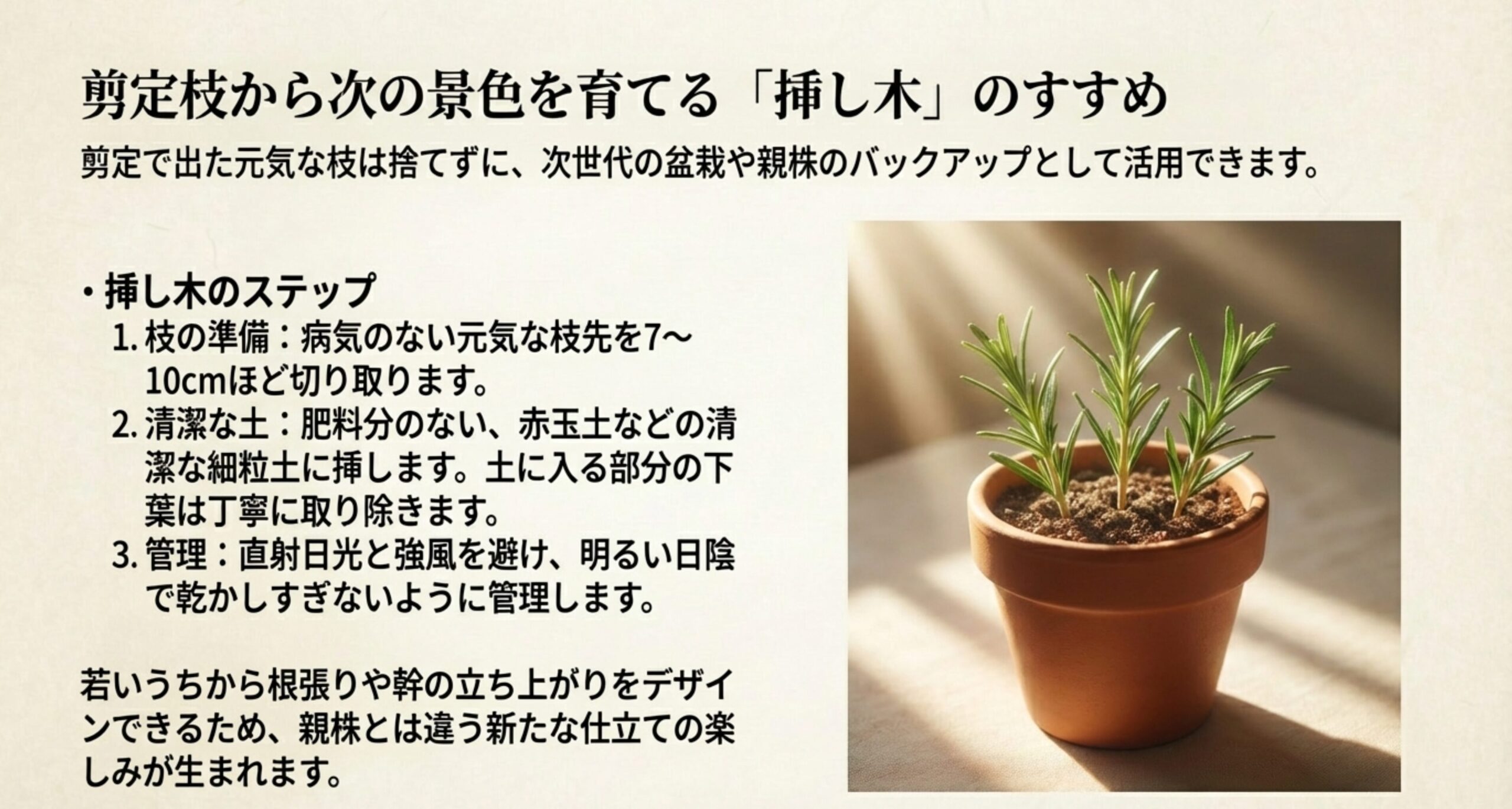 枝の準備から清潔な土への挿し方、日陰での管理まで、次世代の盆栽を育てる挿し木のステップを解説したスライド 。
