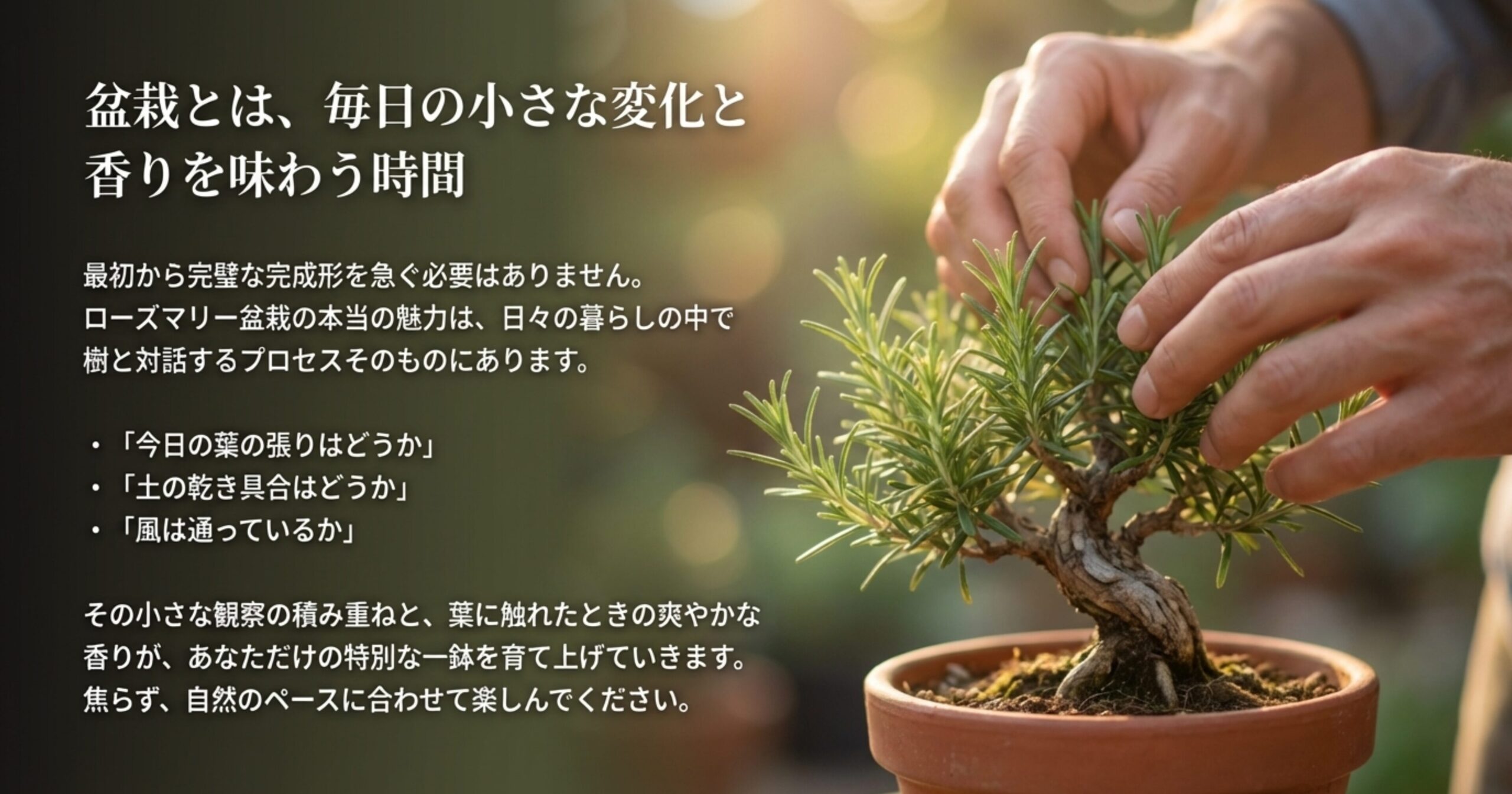 完璧な完成形を急がず、日々の観察の積み重ねと香りを味わうローズマリー盆栽の魅力を伝えたスライド 。