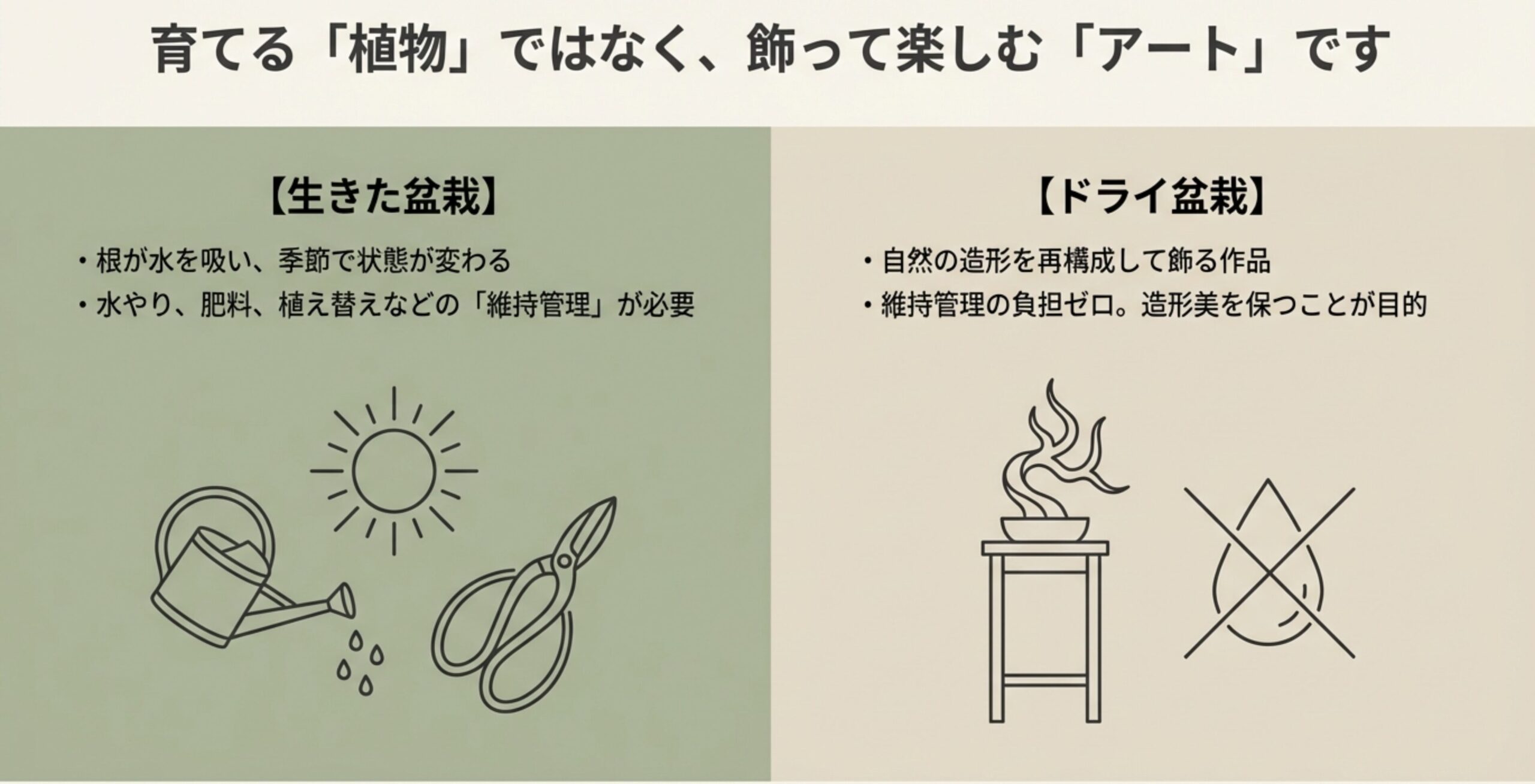 太陽や水やりが不要であることを示すアイコンと、生きた盆栽とドライ盆栽の維持管理の違いについての解説