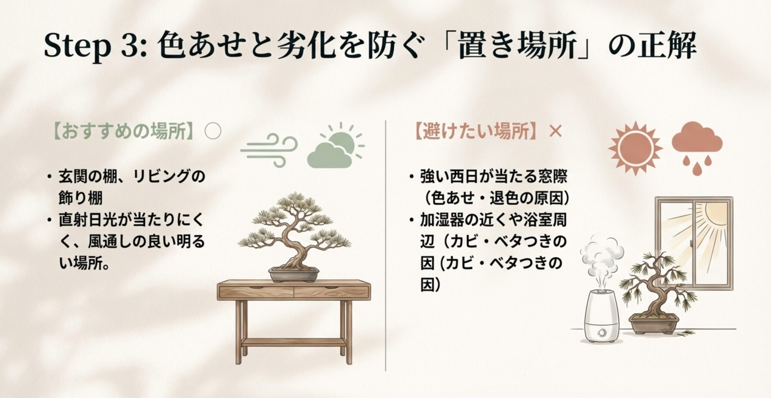 玄関やリビングなどの適した置き場所と、西日が当たる窓際や加湿器の近くなどの避けたい場所のリスト