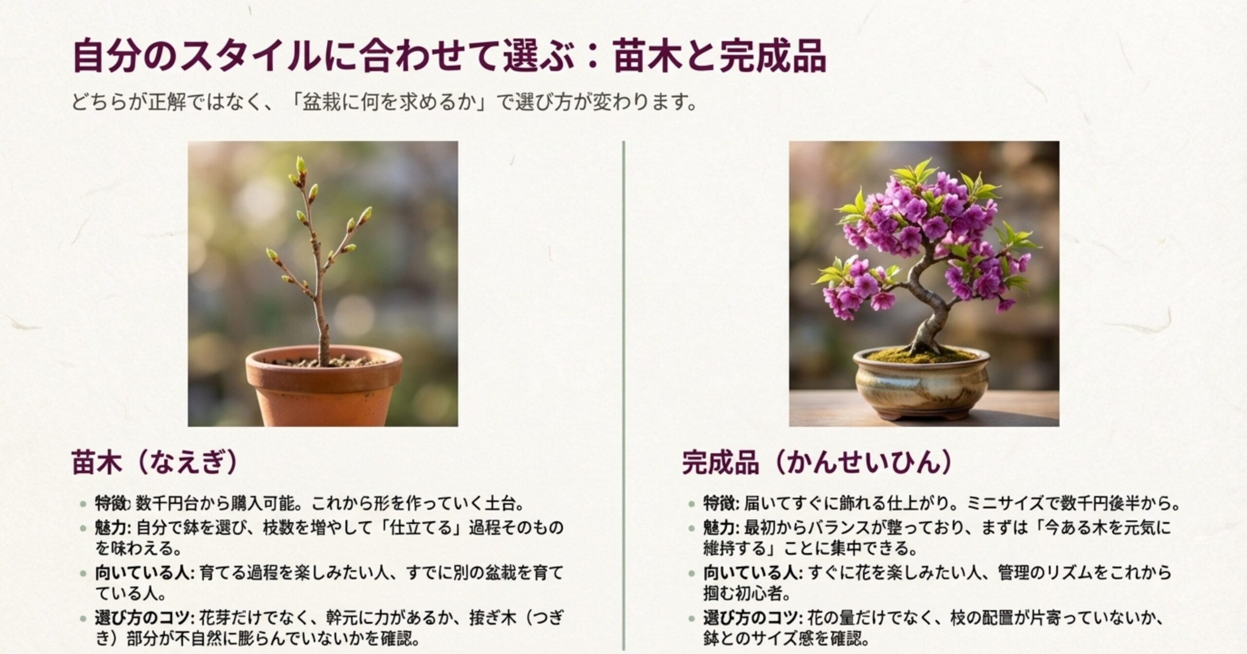 自分のスタイルに合わせて選ぶ苗木と完成品の特徴と魅力。苗木は育てる過程を、完成品は今ある木を元気に維持することを楽しめる。