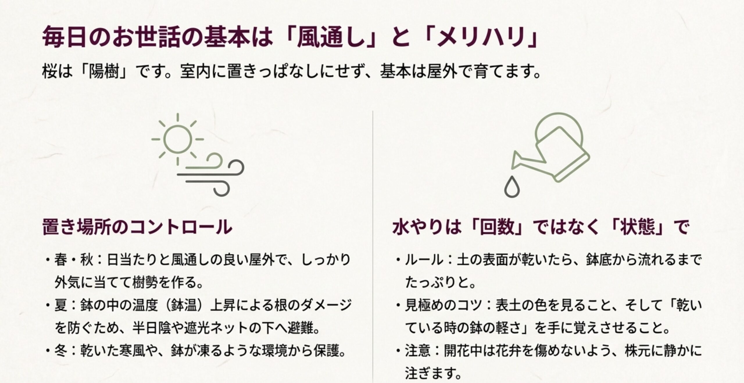 毎日のお世話の基本は風通しとメリハリ。置き場所のコントロールと、回数ではなく状態で判断する水やりのルールの説明。