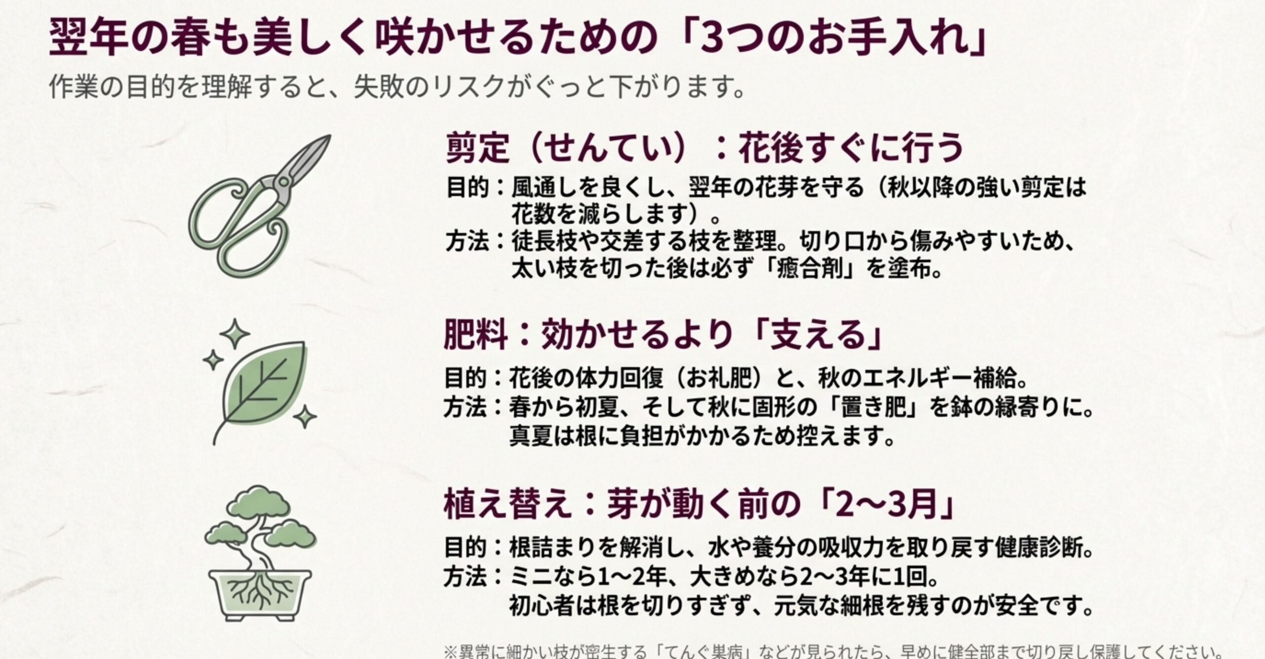 翌年の春も美しく咲かせるための3つのお手入れ。花後すぐに行う剪定、支える目的の肥料、芽が動く前に行う植え替えについての解説。