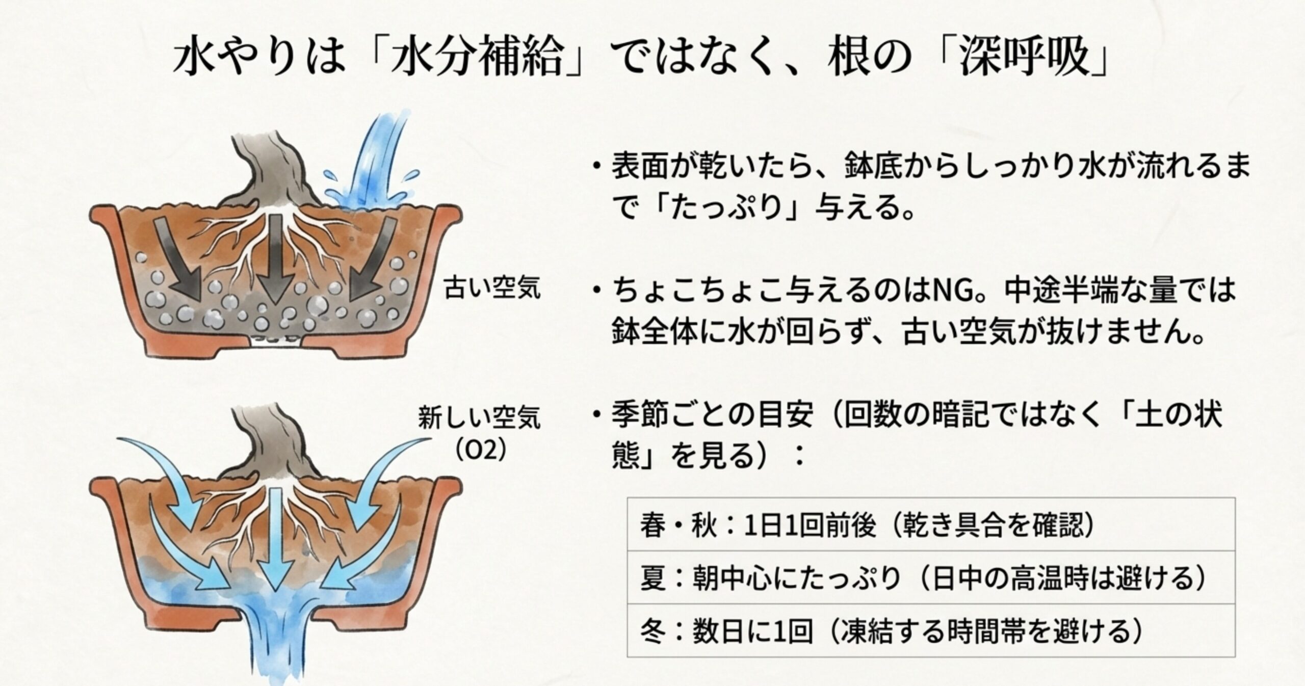 鉢底から流れるまでたっぷり与えることで古い空気を出し、新しい空気を入れるイメージ図と、季節ごとの水やり回数の目安表 。