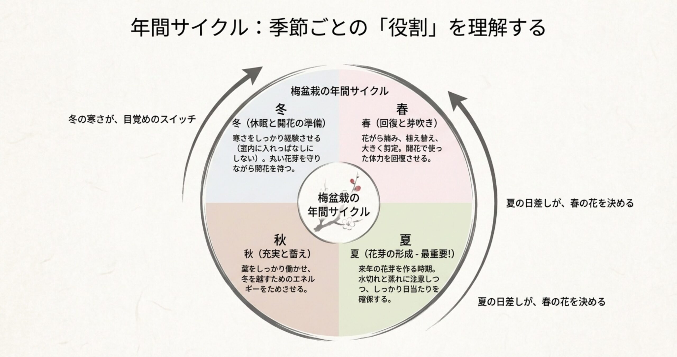 冬の寒さが目覚めのスイッチ、夏の日差しが春の花を決定するという、四季ごとの役割をまとめたサイクル図 。