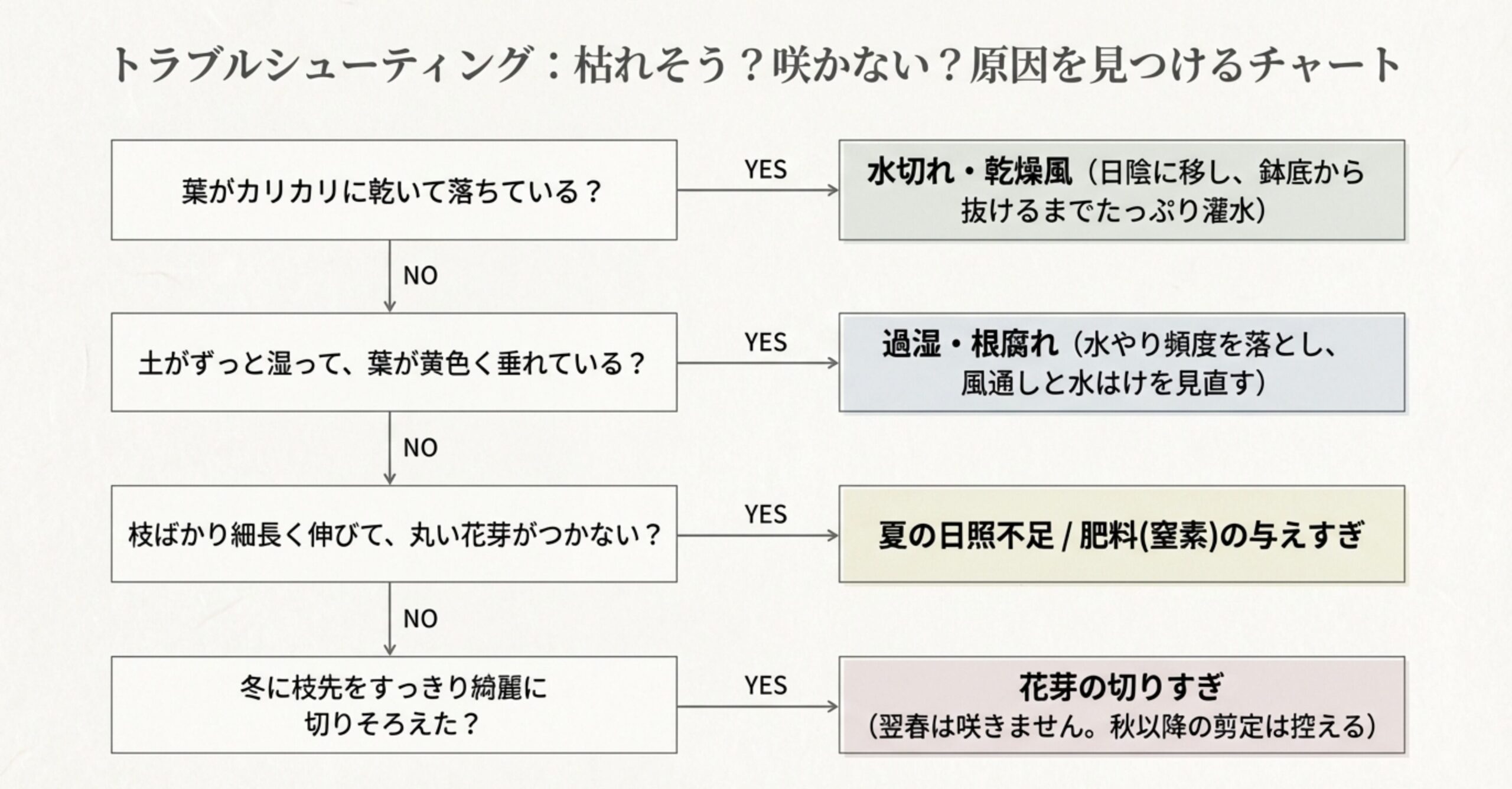 葉の乾燥、黄変、花芽がつかないなどの症状から、水切れ・過湿・日照不足・切りすぎ等の原因を特定するフローチャート 。