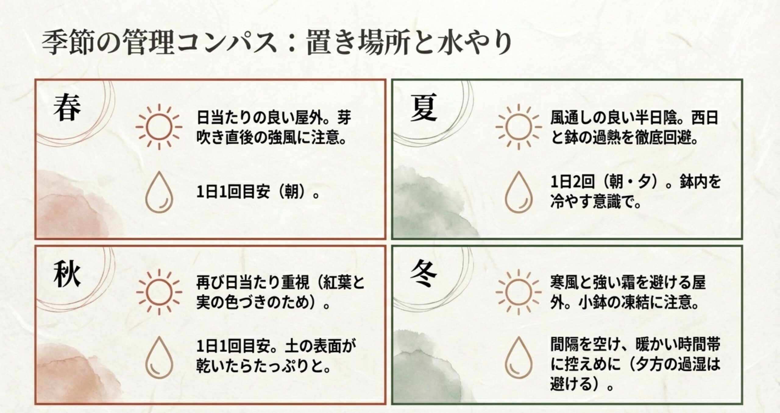 季節の管理コンパス：置き場所と水やり 。春と秋は日当たりを重視し、1日1回を目安に水やりをします 。夏は風通しの良い半日陰で西日を避け、1日2回水やりをします 。冬は寒風を避け、暖かい時間帯に間隔を空けて水やりをします 。