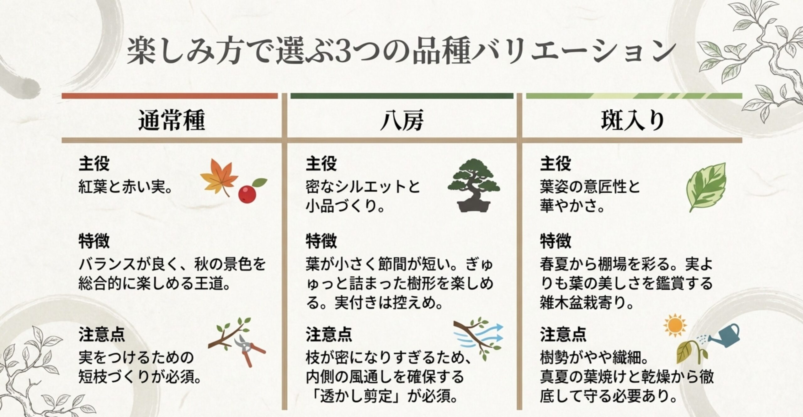 楽しみ方で選ぶ3つの品種バリエーション 。紅葉と実を楽しむ通常種、密なシルエットの八房、葉姿を楽しむ斑入りの特徴と注意点です 。