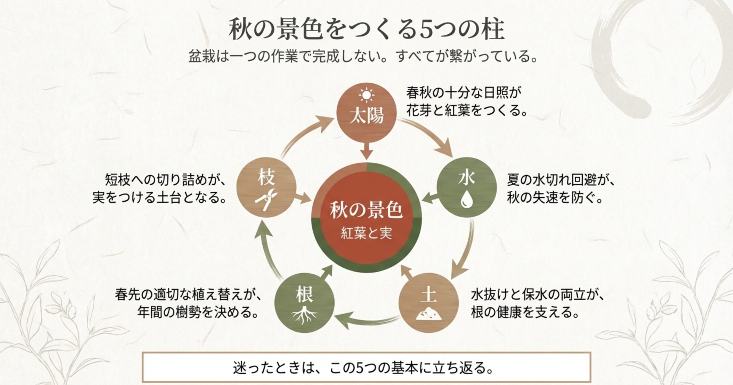 秋の景色をつくる5つの柱 。迷ったときは、枝、太陽、水、根本、土の5つの基本に立ち返ります 。すべてが繋がって紅葉と実の景色をつくります 。