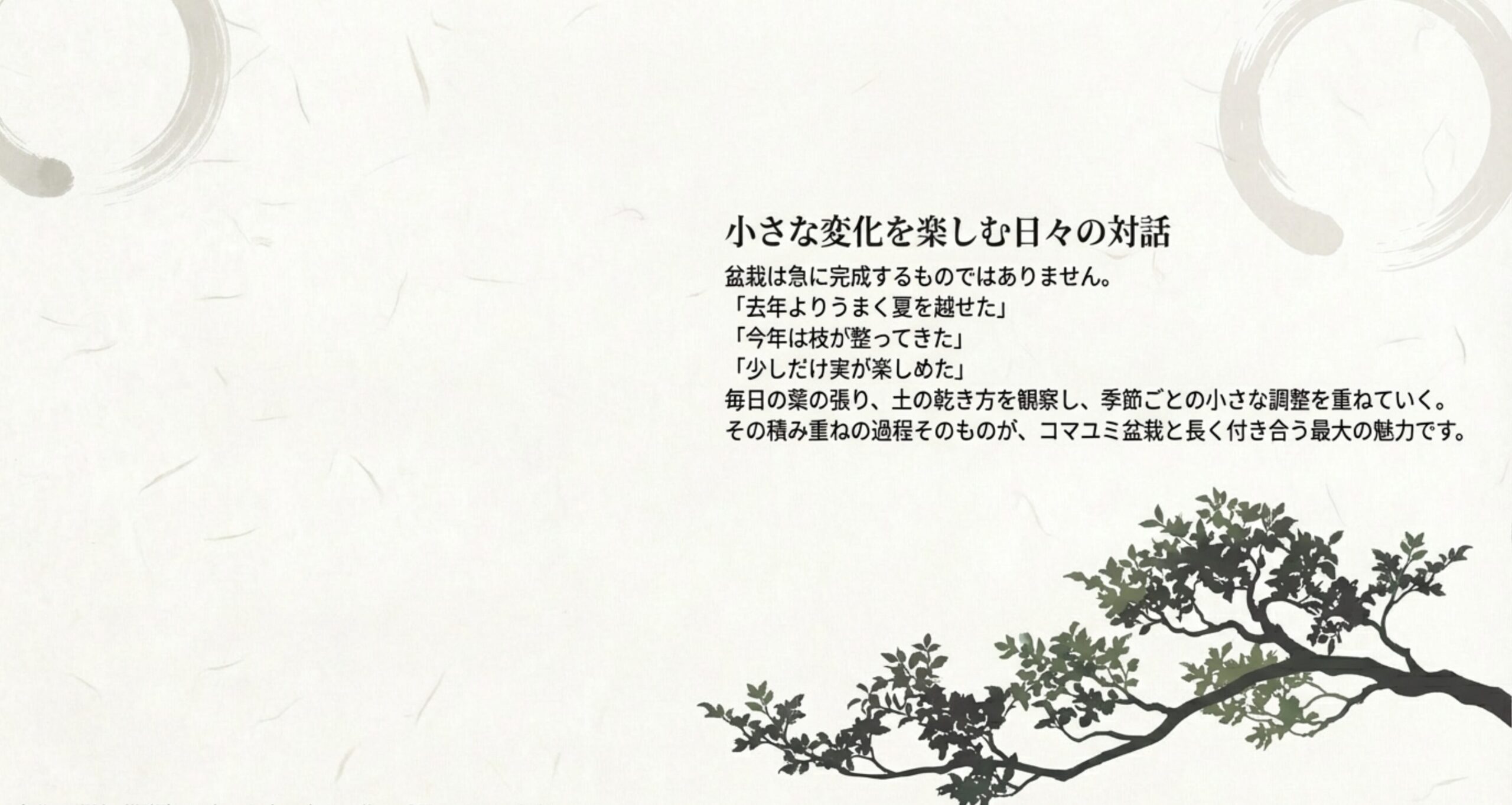 小さな変化を楽しむ日々の対話 。毎日の観察と季節ごとの小さな調整を重ねていく過程が、コマユミ盆栽と長く付き合う最大の魅力です 。