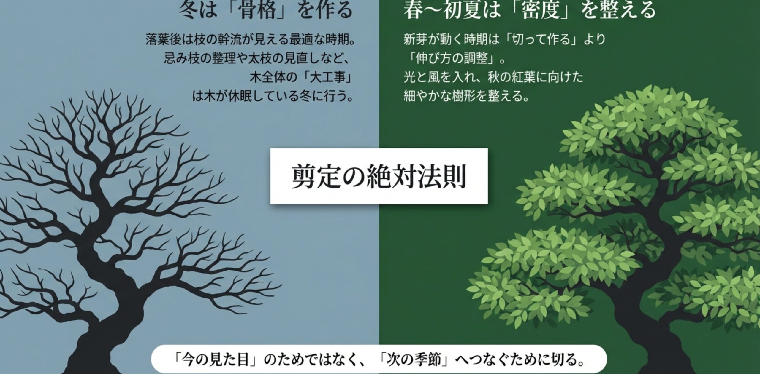 冬は骨格作り、春から初夏は密度調整という、剪定の絶対法則を説明するスライド 。