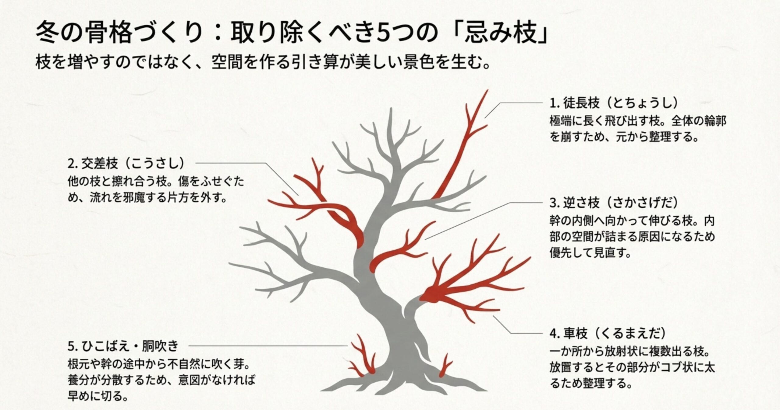 徒長枝、交差枝、逆さ枝、車枝、ひこばえなど、木の流れを邪魔する5種類の枝を図解