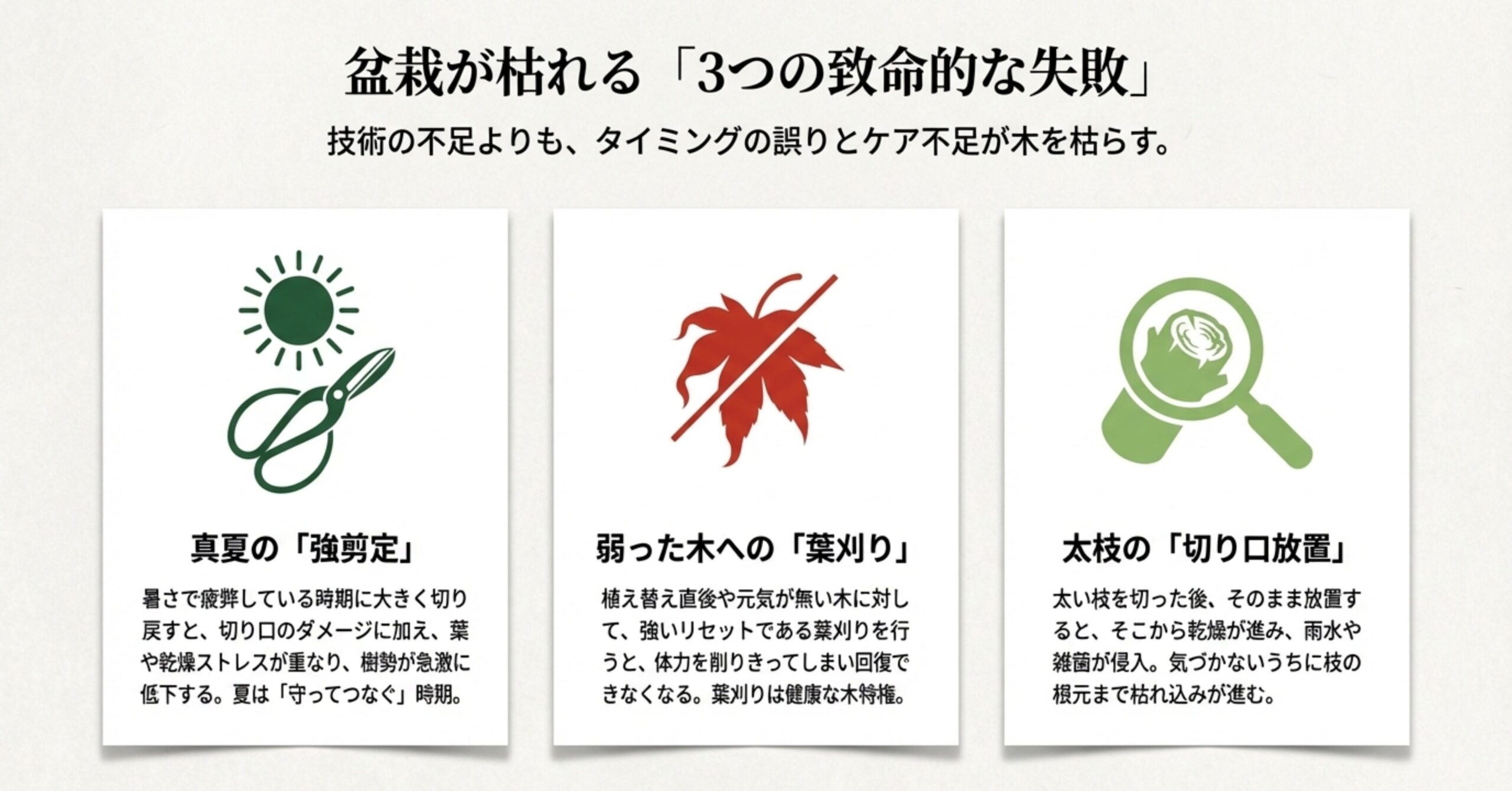 真夏の強剪定、弱った木への葉刈り、太枝の切り口放置という3つの失敗例 。