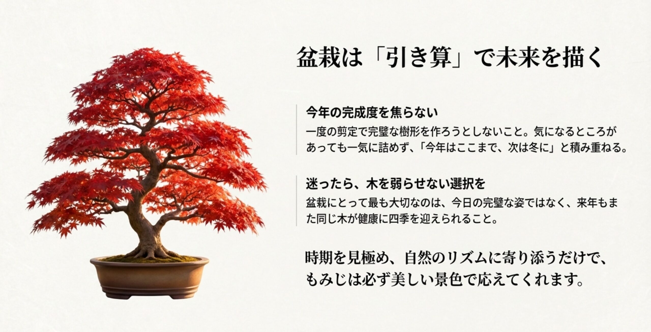 美しく紅葉したもみじ盆栽の画像と、「盆栽は『引き算』で未来を描く」というメッセージ 。