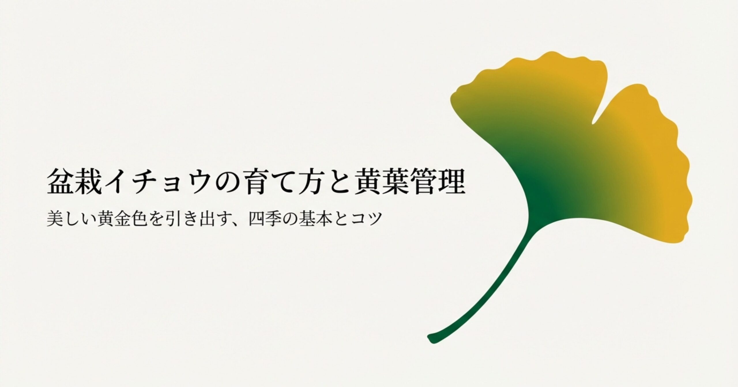 盆栽イチョウの育て方と黄葉管理、美しい黄金色を引き出す四季の基本とコツを解説するスライド。