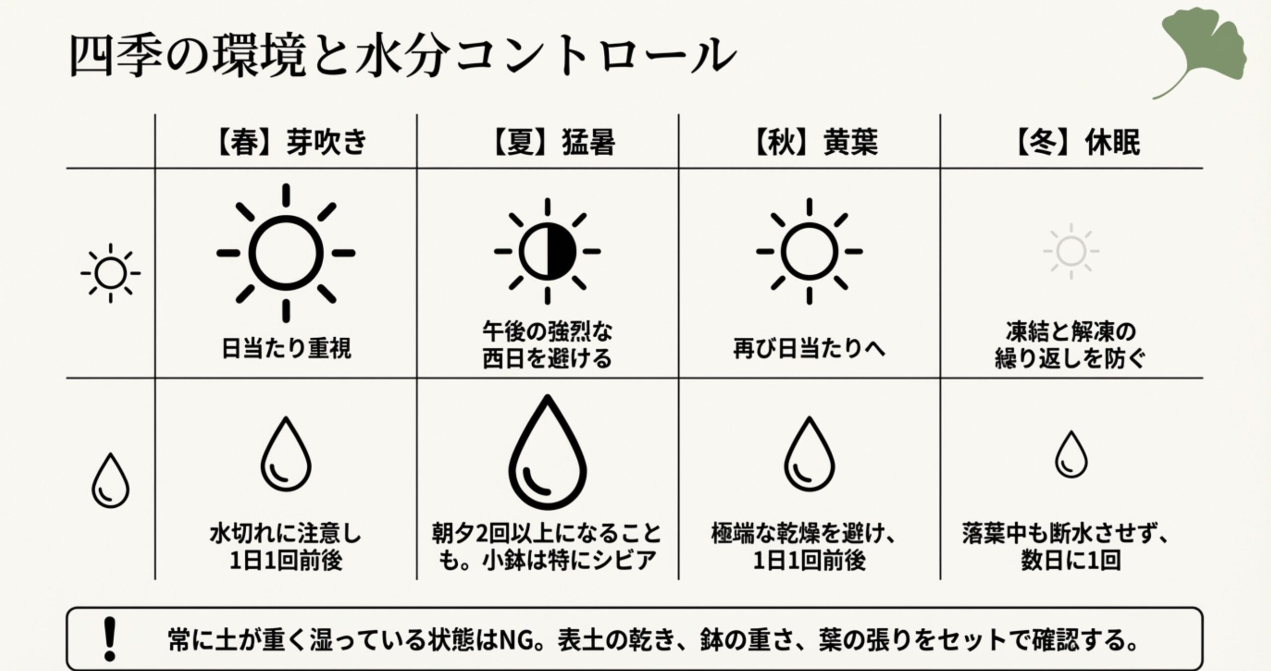 春夏秋冬ごとの日当たり重視ポイントと水やりの目安(1日1回〜2回以上など)をまとめた比較表スライド。