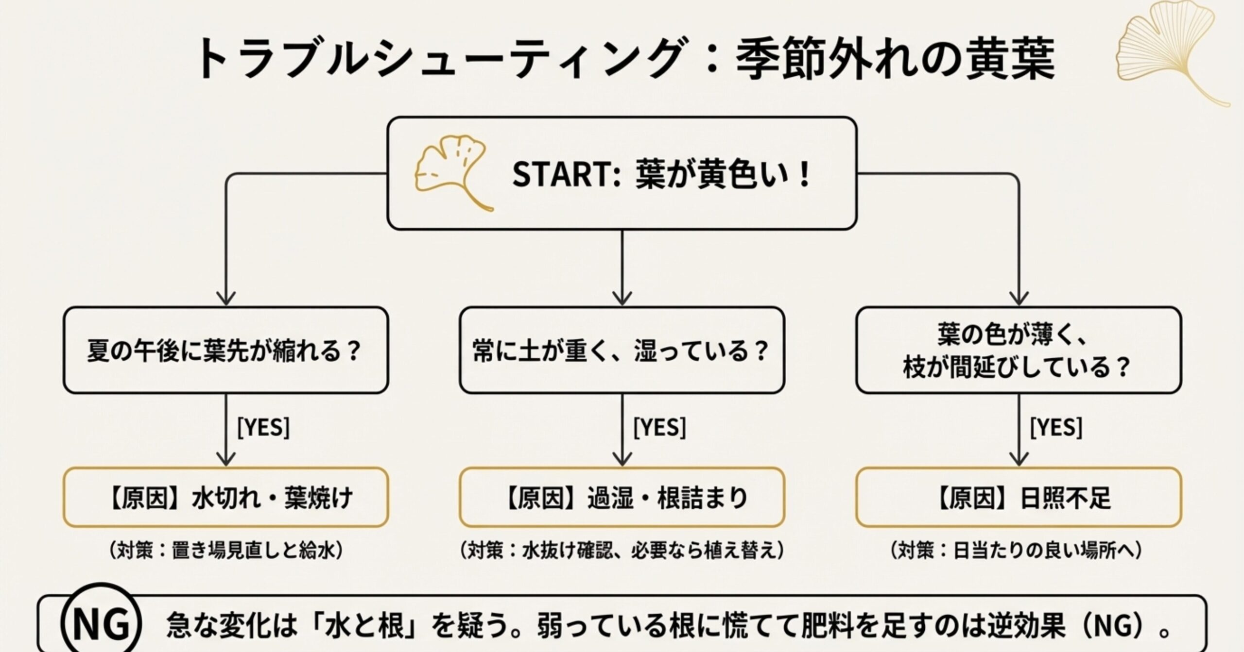 葉先が縮れる、土が常に湿っている、色が薄いなどの症状から原因(水切れ・過湿・日照不足)を特定するフローチャート。