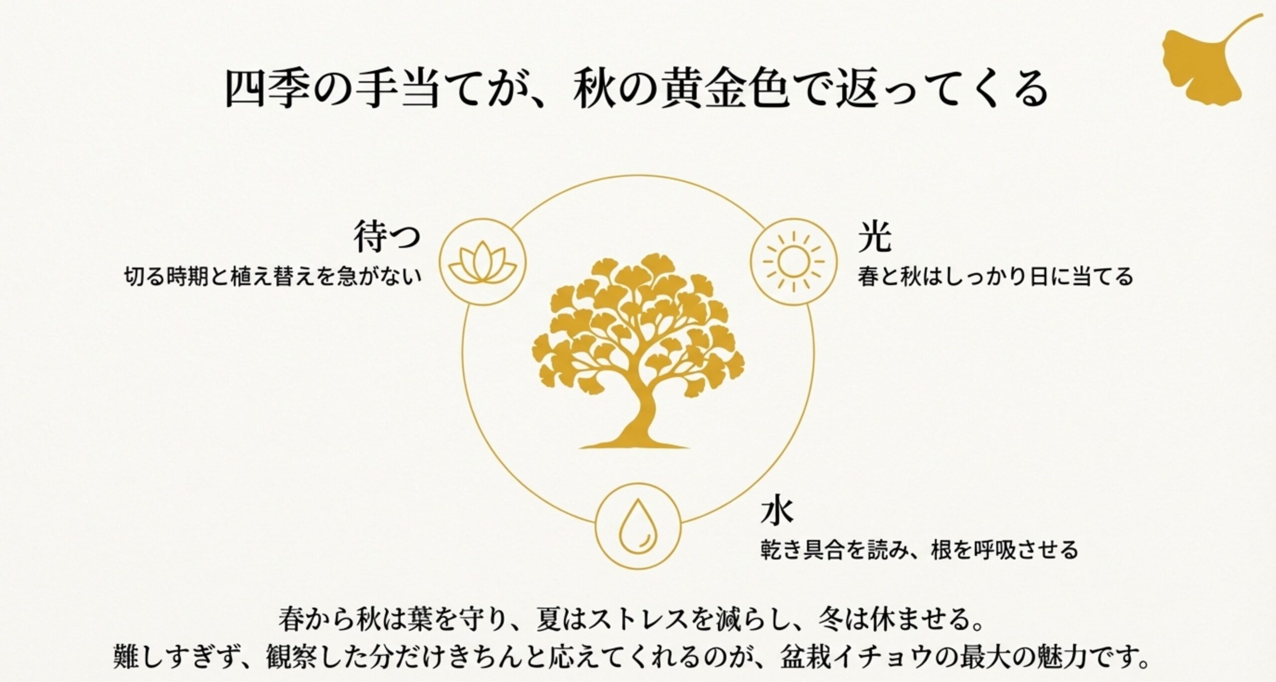 「待つ」「水」「光」をキーワードに、四季のサイクルと盆栽イチョウの魅力を総括したまとめスライド。