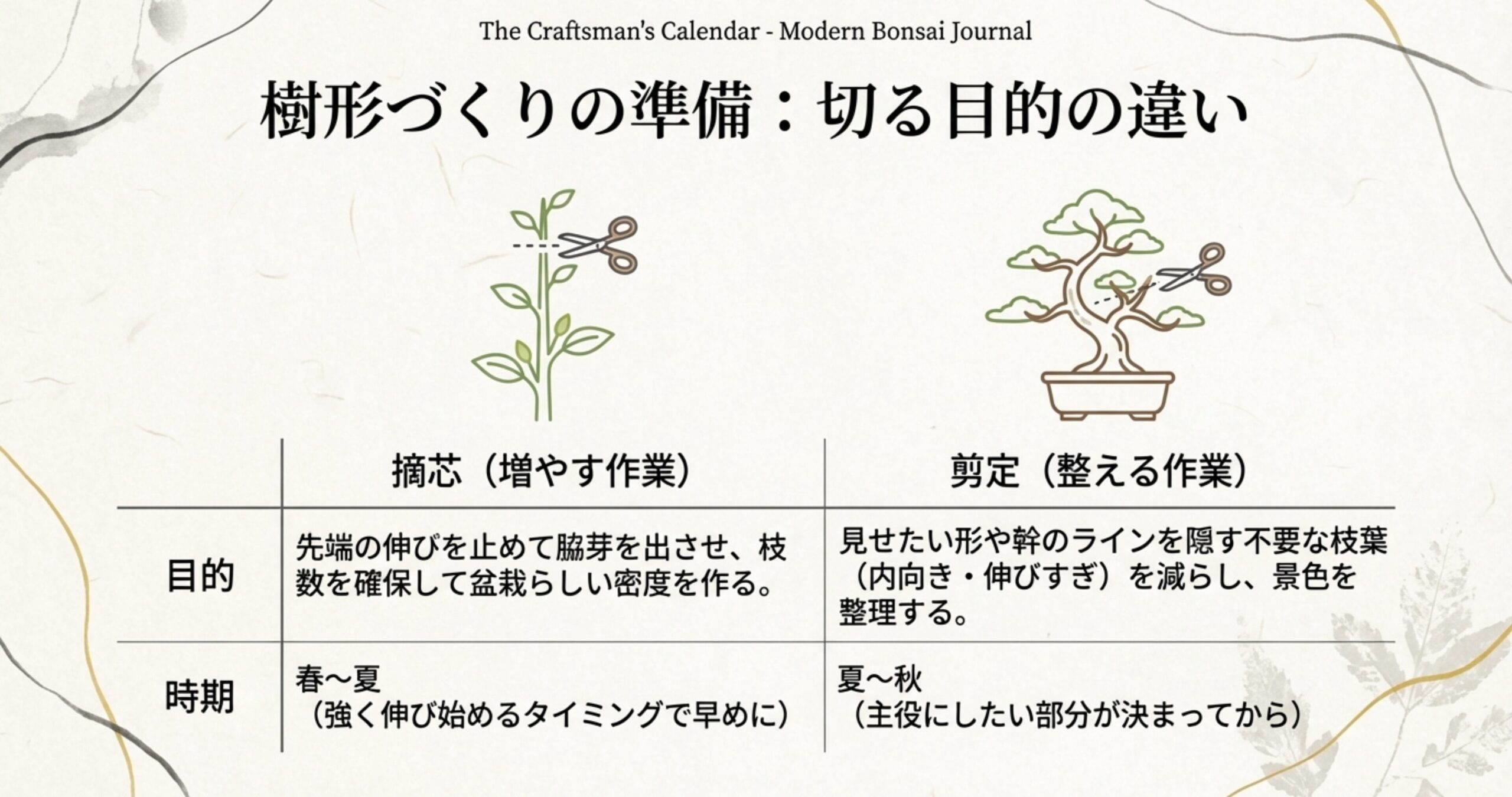 枝数を増やす摘芯と、樹形を整える剪定の目的や時期の違いを比較した表とイラスト