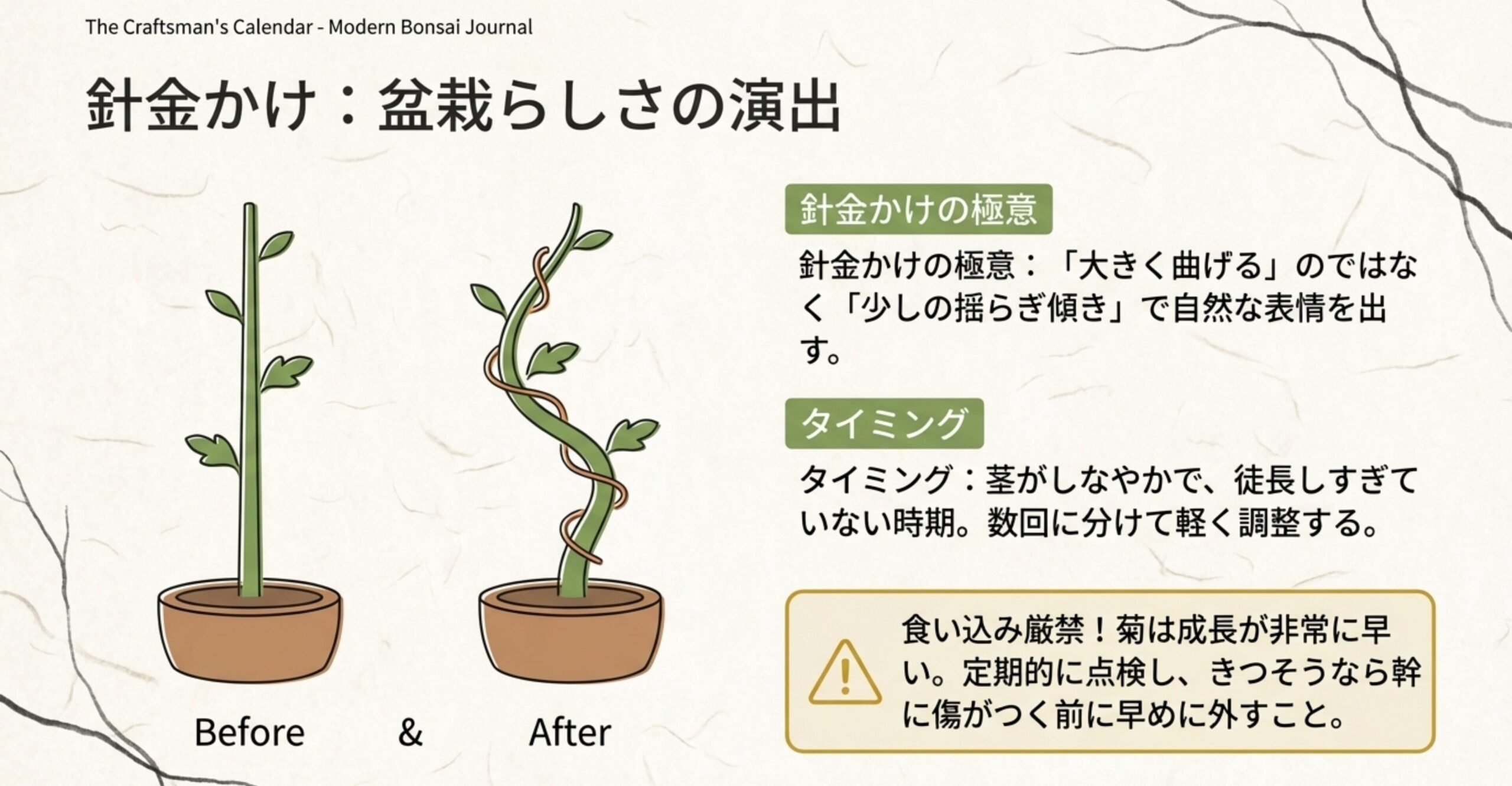 少しの揺らぎで自然な表情を出す針金かけのBefore・Afterと、食い込み厳禁の注意書き