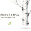 白樺盆栽の仕立て方と育て方。景色を切り取り、四季の空気感を引き出すというコンセプトを伝えるタイトル画像。