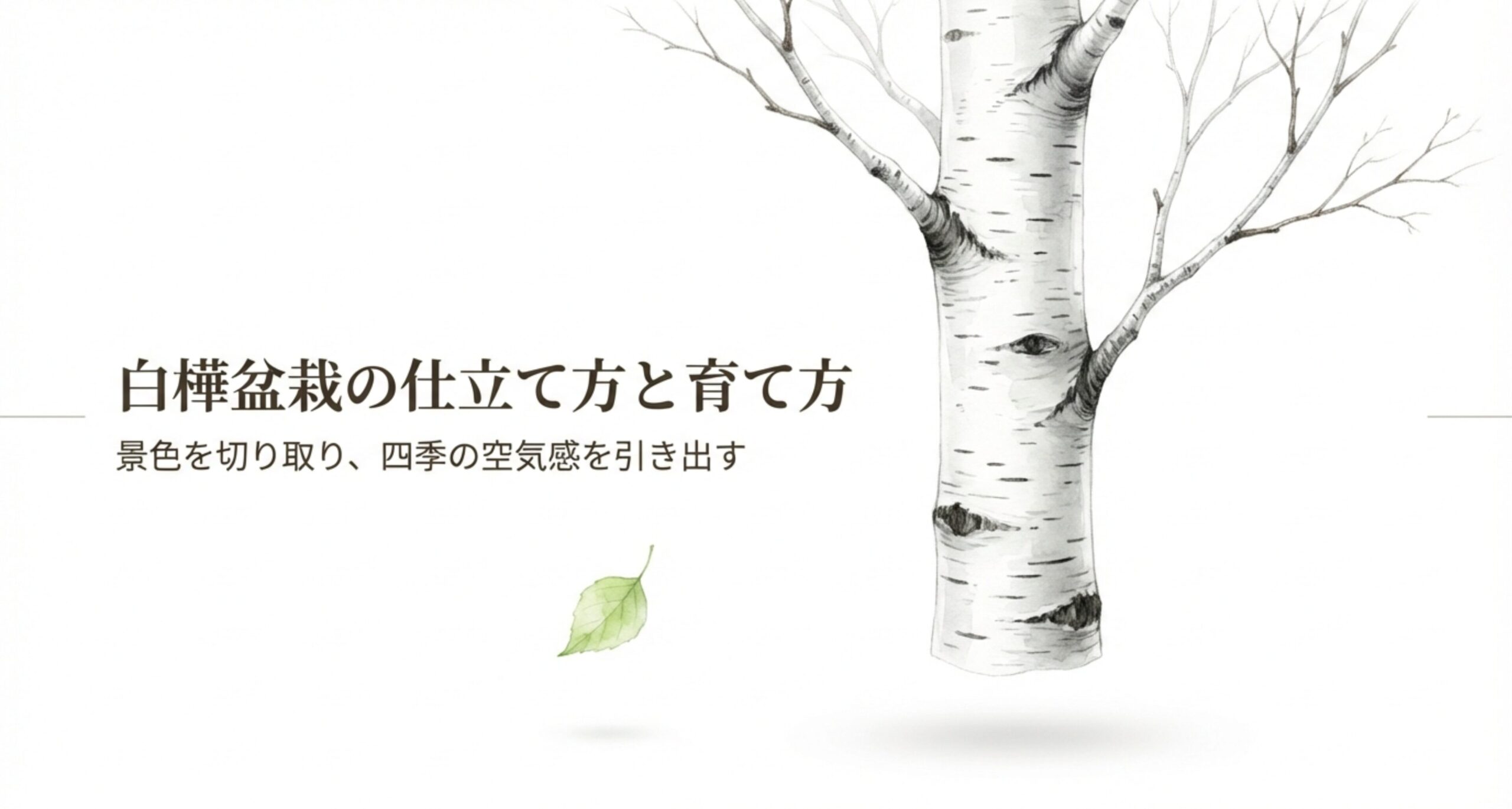 白樺盆栽の仕立て方と育て方。景色を切り取り、四季の空気感を引き出すというコンセプトを伝えるタイトル画像。