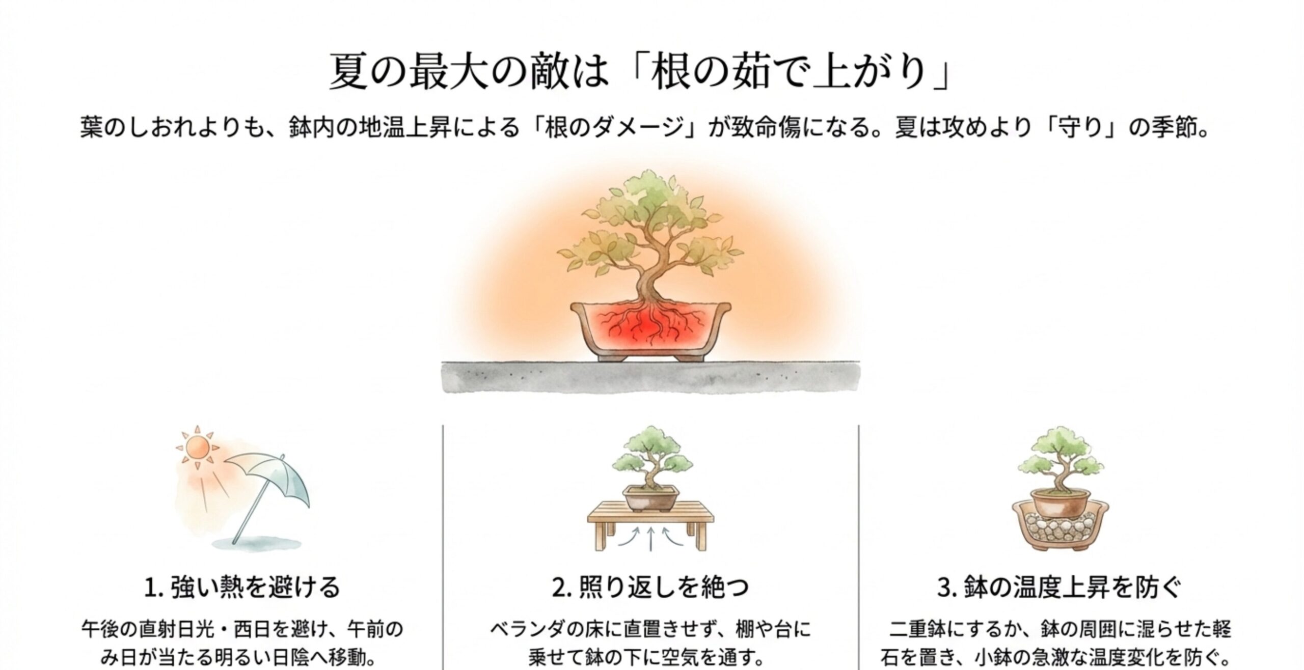 根のダメージを防ぐための3つの夏越し対策。強い熱を避ける日よけ、照り返しを絶つ棚置き、鉢の温度上昇を防ぐ工夫をイラストで解説しています。