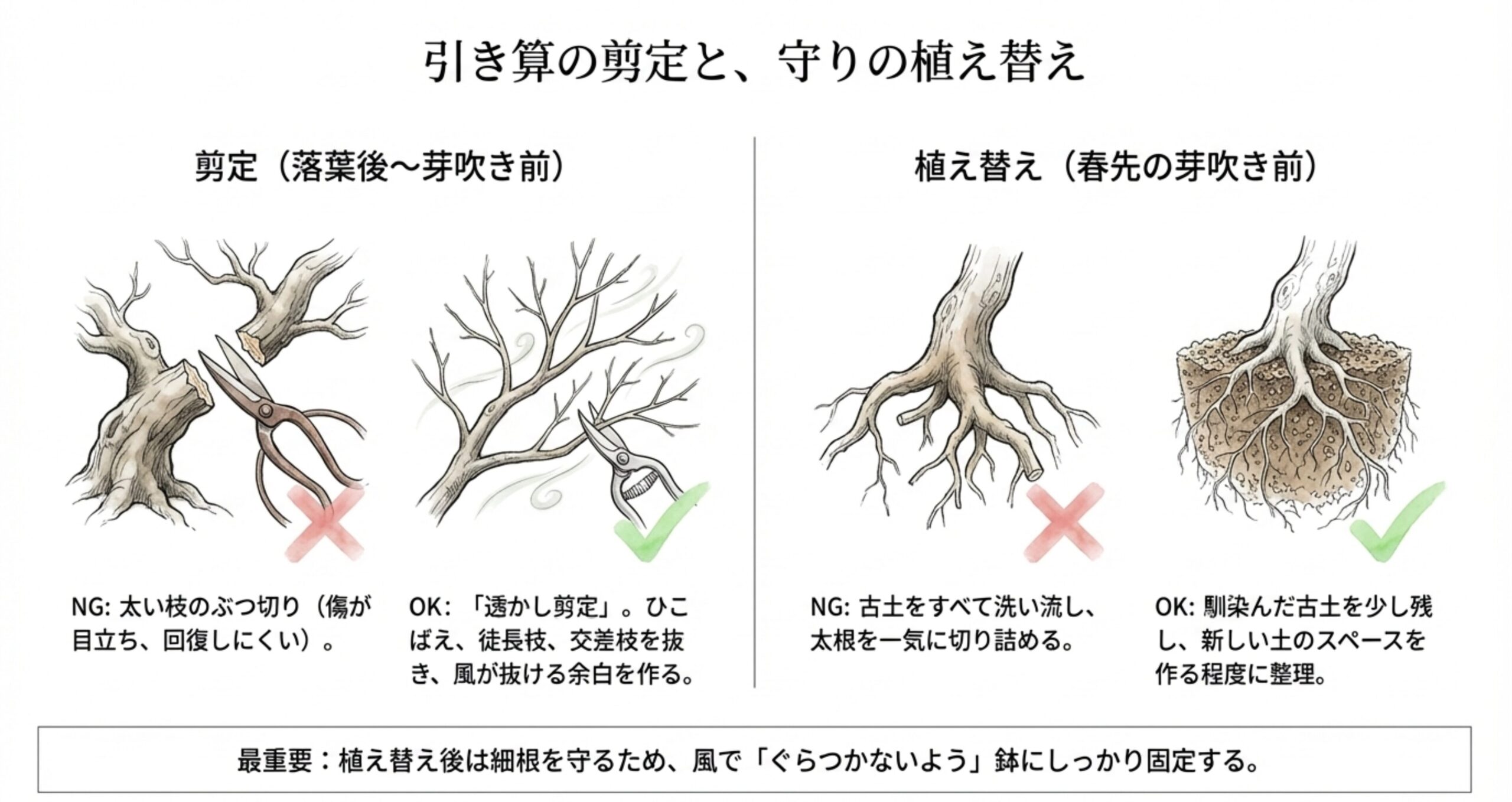 太い枝のぶつ切りを避ける透かし剪定と、太根を一気に切り詰めず古土を少し残す植え替えの、それぞれのOK例とNG例を示した図解。
