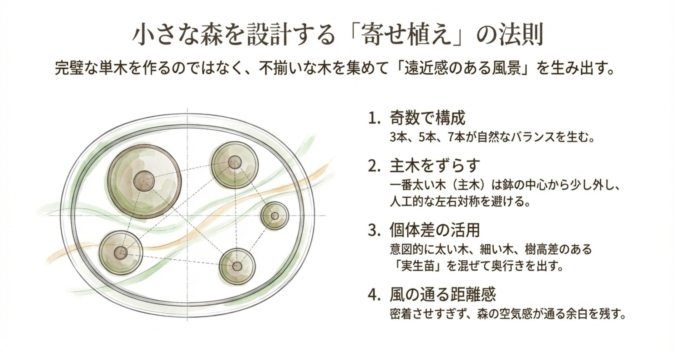 寄せ植えを作る際の4つの法則を上からの俯瞰図で解説。奇数での構成、主木をずらす配置、個体差の活用、風の通る距離感について説明しています。