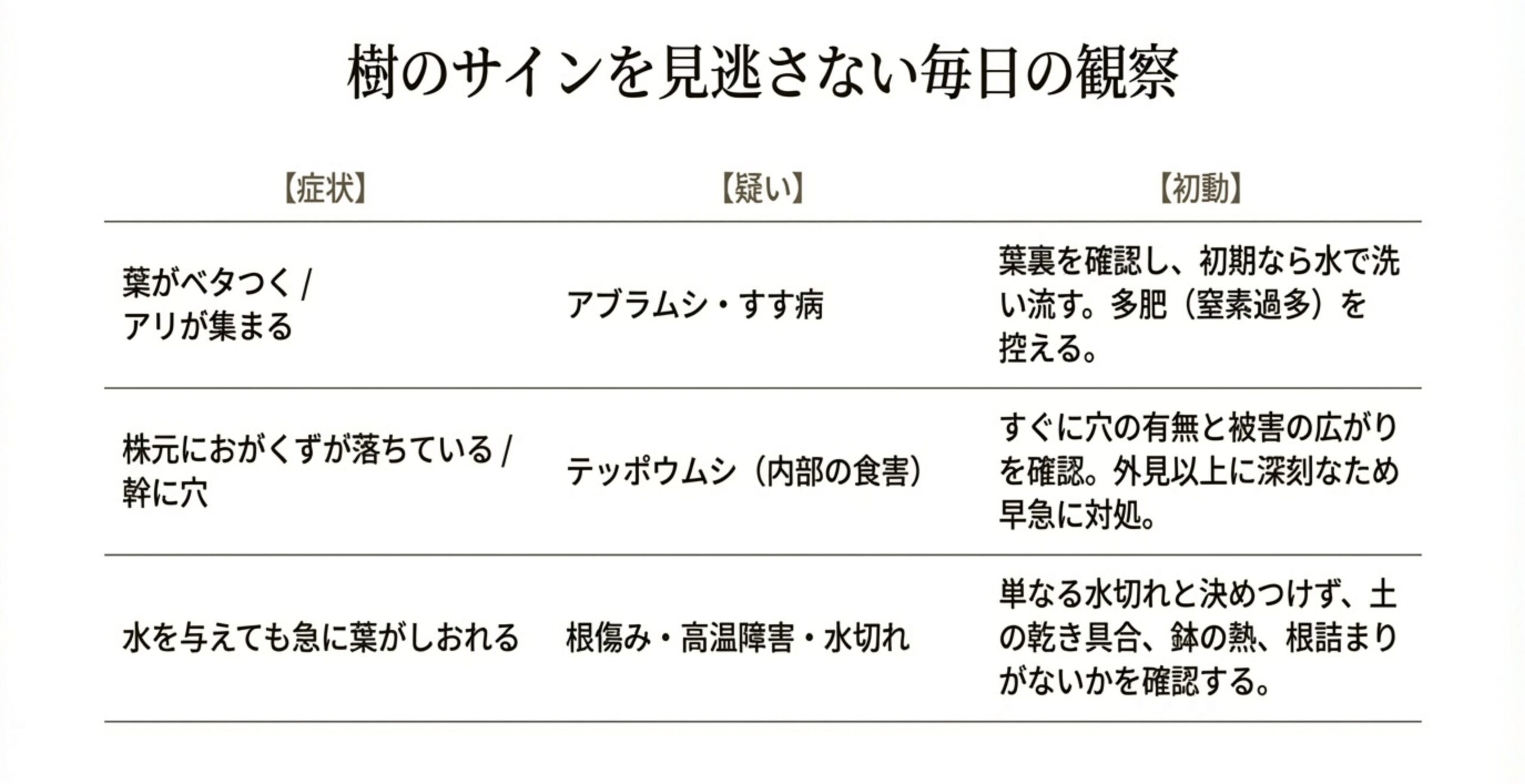 葉のベタつき、株元のおがくず、急な葉のしおれなど、白樺に現れる異常サインに対する疑い（アブラムシ、テッポウムシなど）と初動対応をまとめた表。