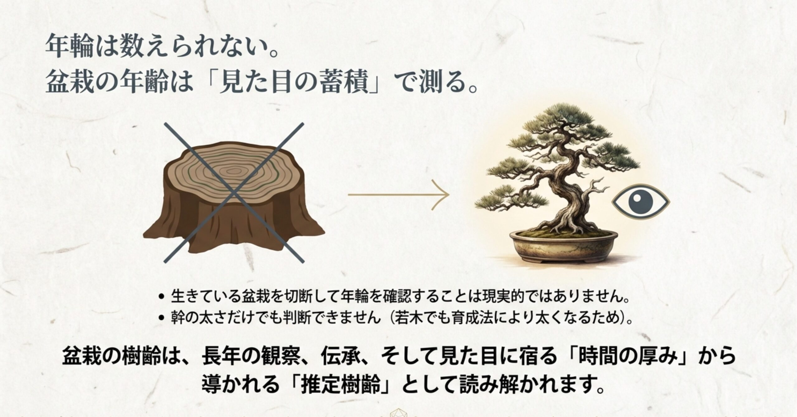 生きている盆栽の年輪は数えられないため、幹の太さだけでなく「見た目の蓄積」で推定樹齢を測ることを説明する図解。