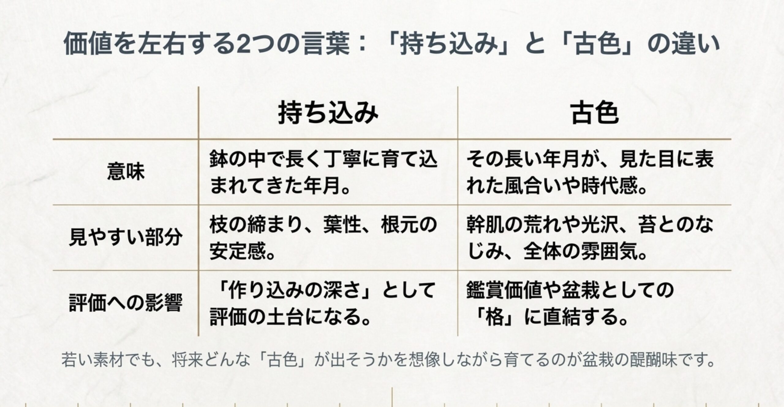 鉢での栽培年月を指す「持ち込み」と、見た目の風合いを指す「古色」の定義や見所、評価への影響を比較した表。