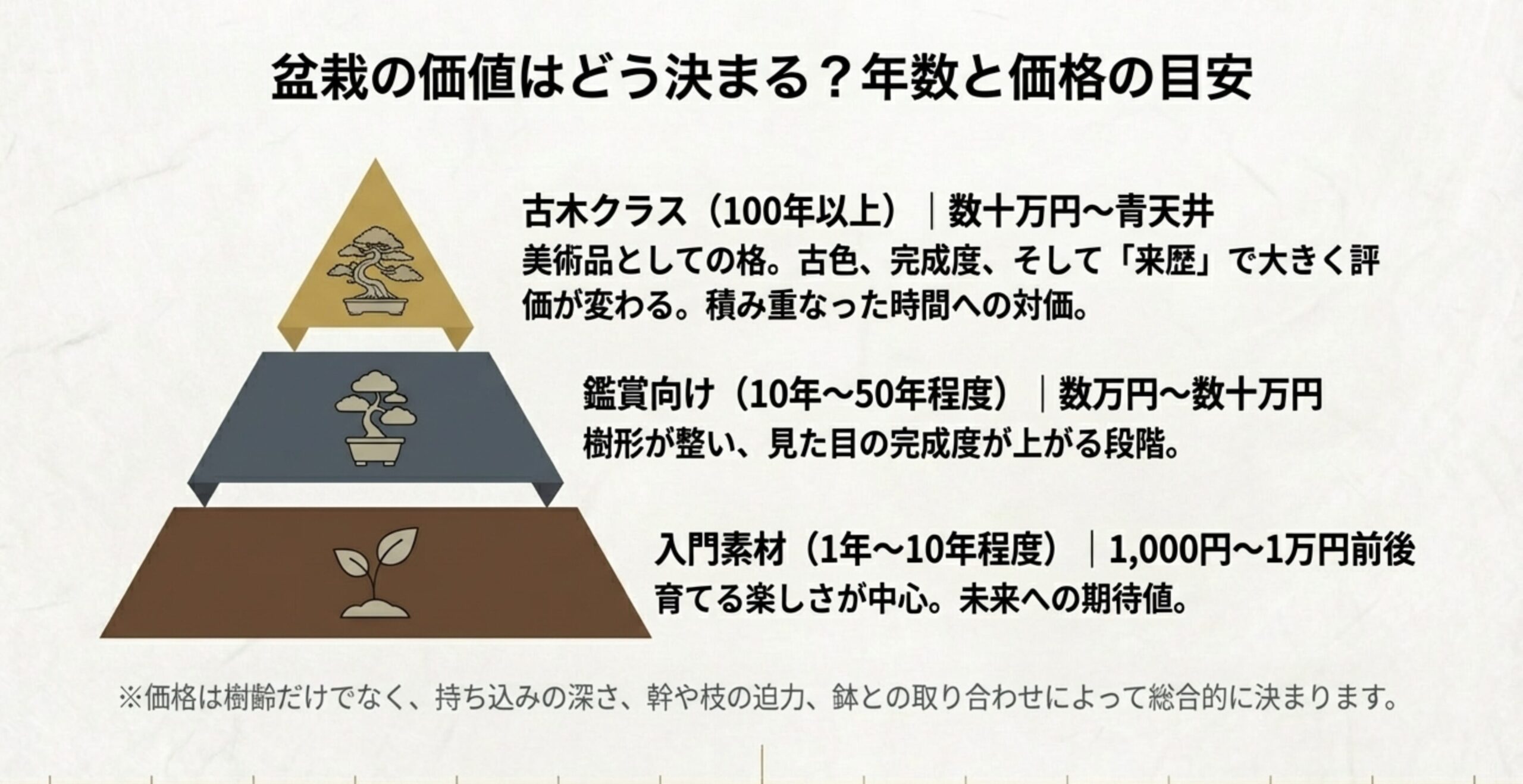 入門素材から古木クラスまで、樹齢に応じた価格帯の目安と、価値を決める要素（持ち込みや来歴）をまとめた表。