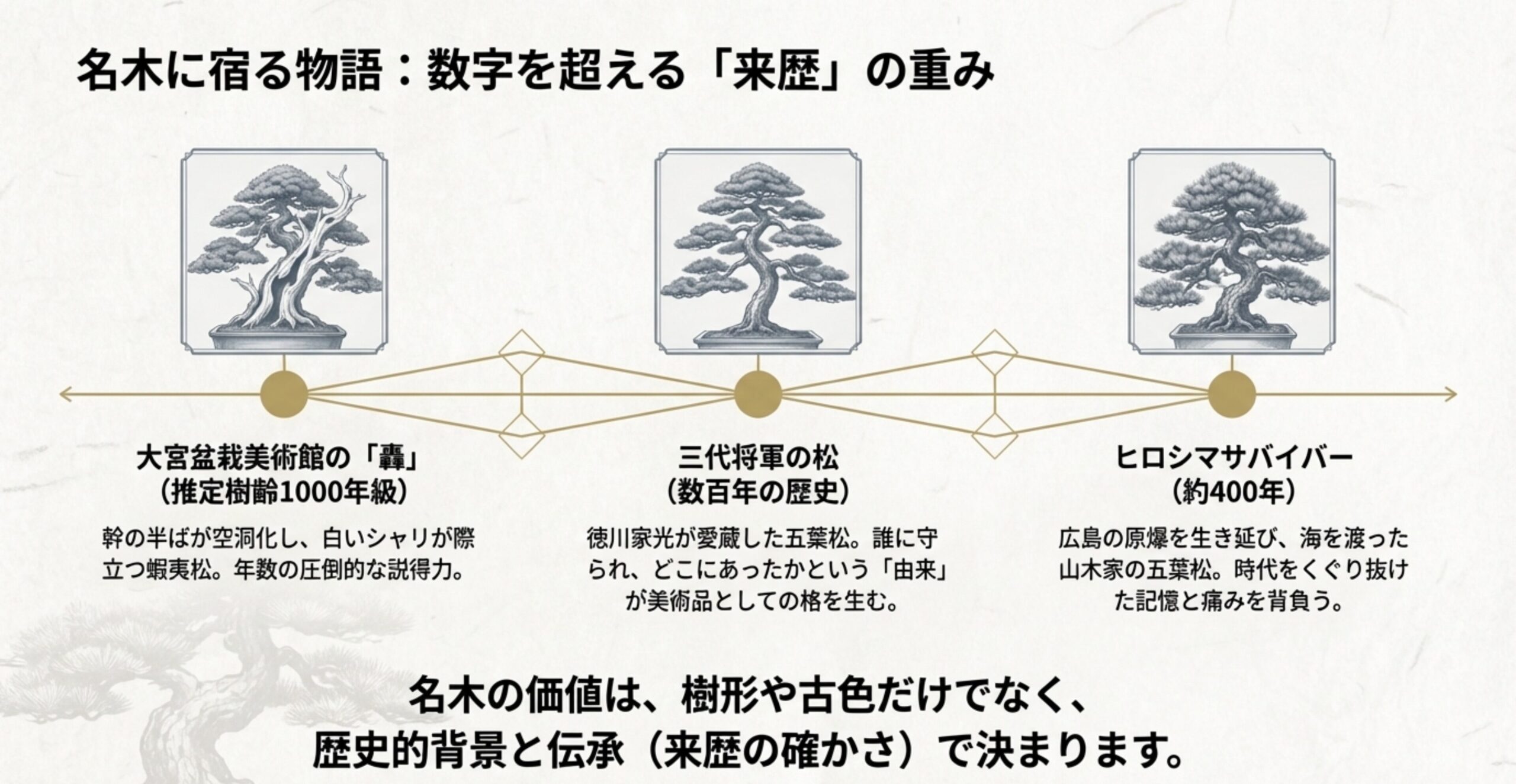 「轟」、三代将軍の松、ヒロシマサバイバーの3つの名木を例に、樹齢を超えた「来歴」の重みを紹介するスライド。